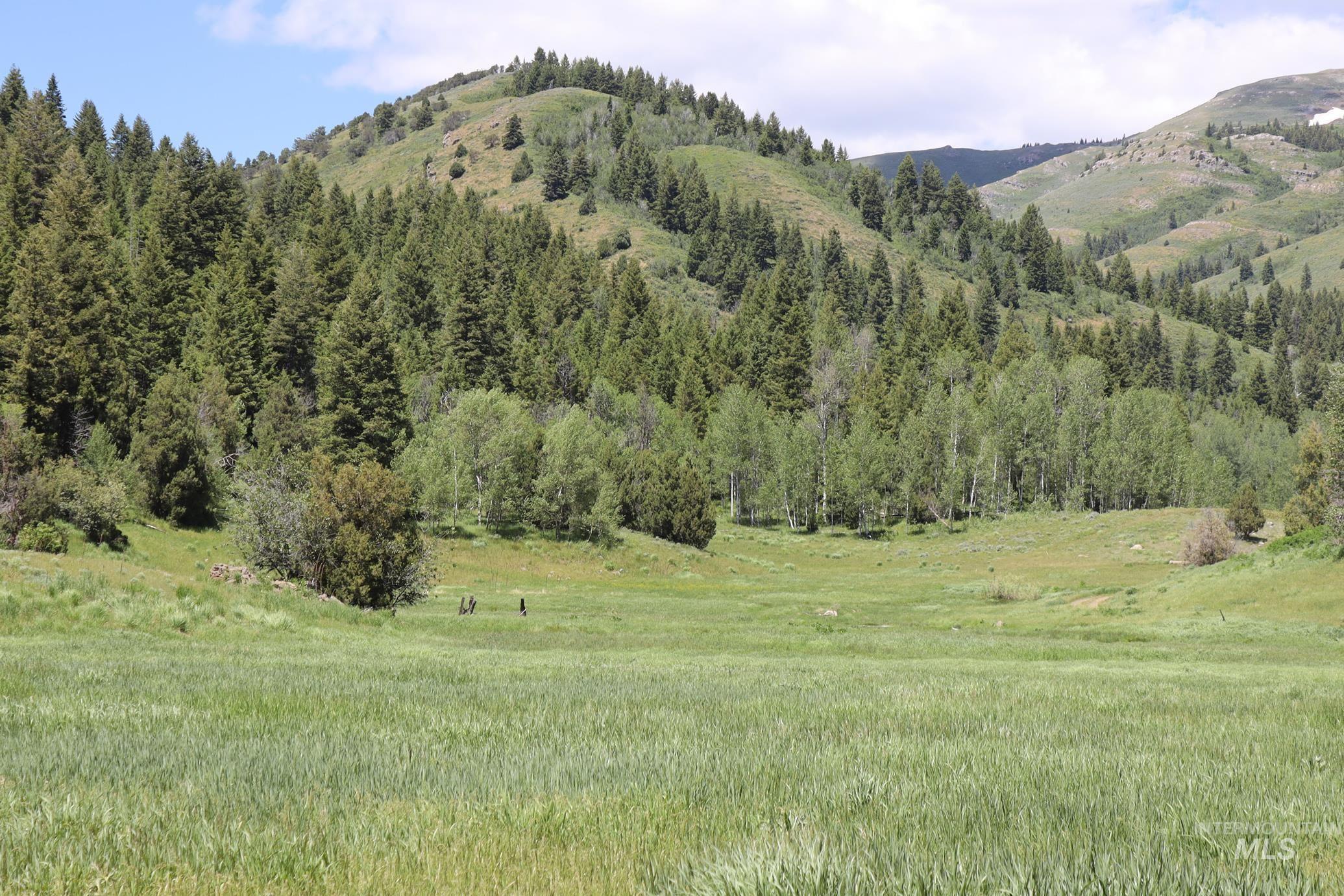 TBD Bull Canyon Road, Rockland, Idaho 83271, Land For Sale, Price $2,675,000, 98916408