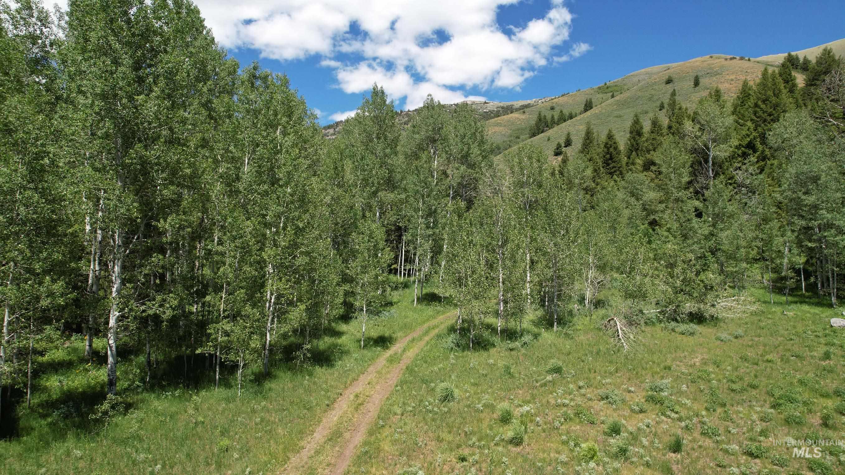 TBD Bull Canyon Road, Rockland, Idaho 83271, Land For Sale, Price $2,675,000, 98916408