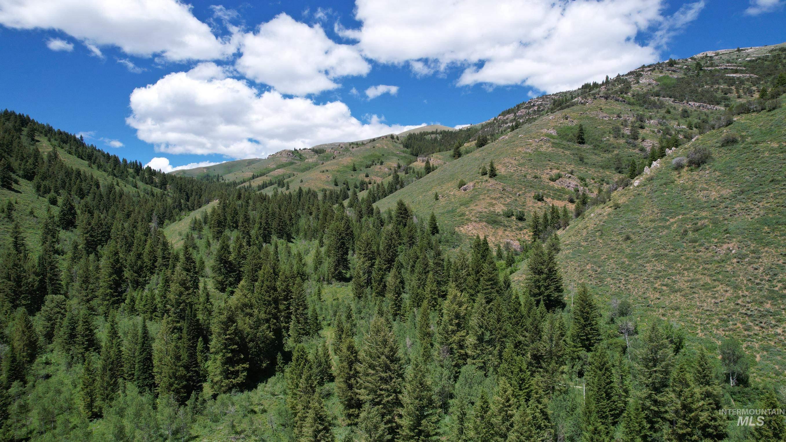 TBD Bull Canyon Road, Rockland, Idaho 83271, Land For Sale, Price $2,675,000, 98916408