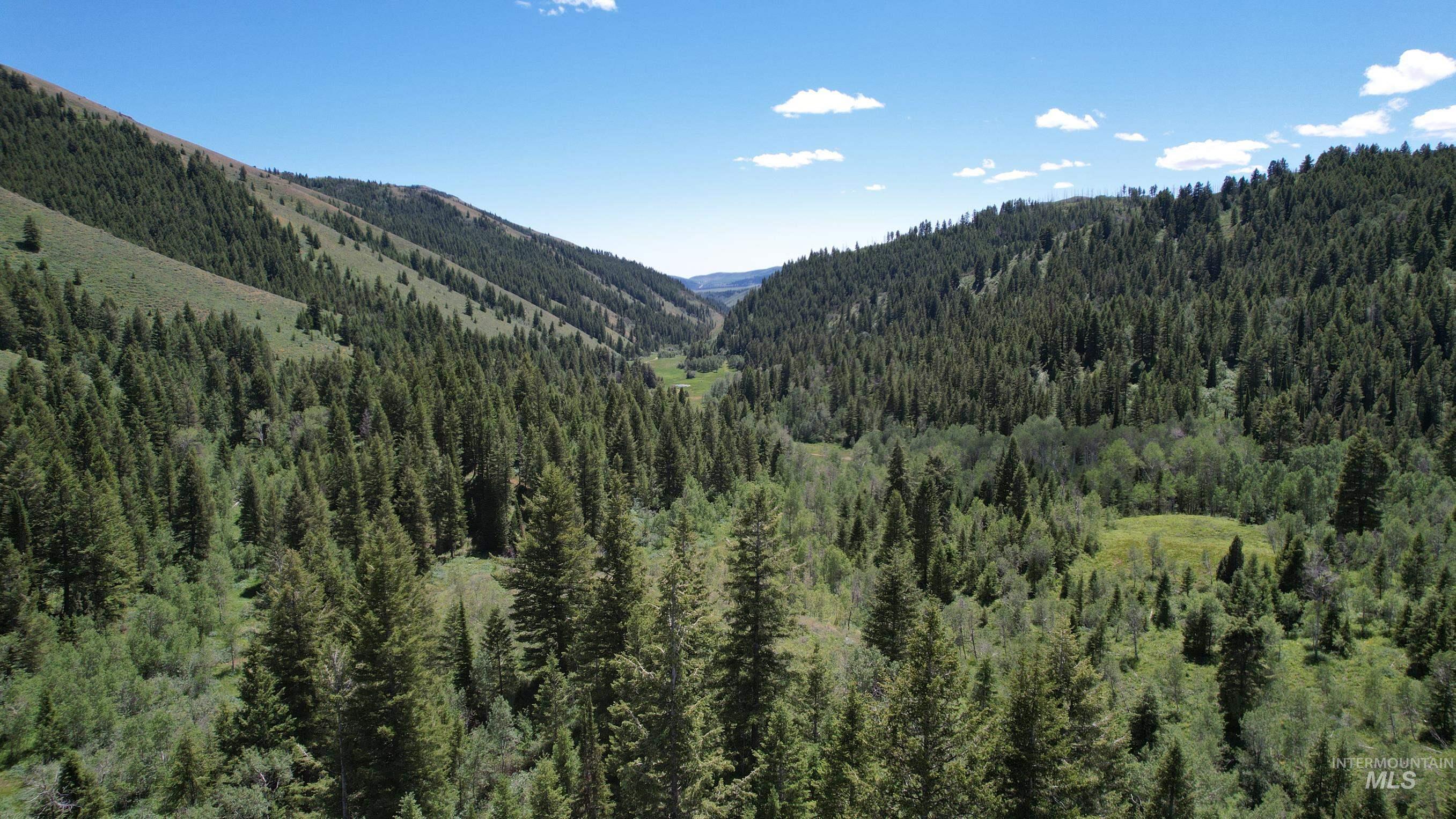 TBD Bull Canyon Road, Rockland, Idaho 83271, Land For Sale, Price $2,675,000, 98916408