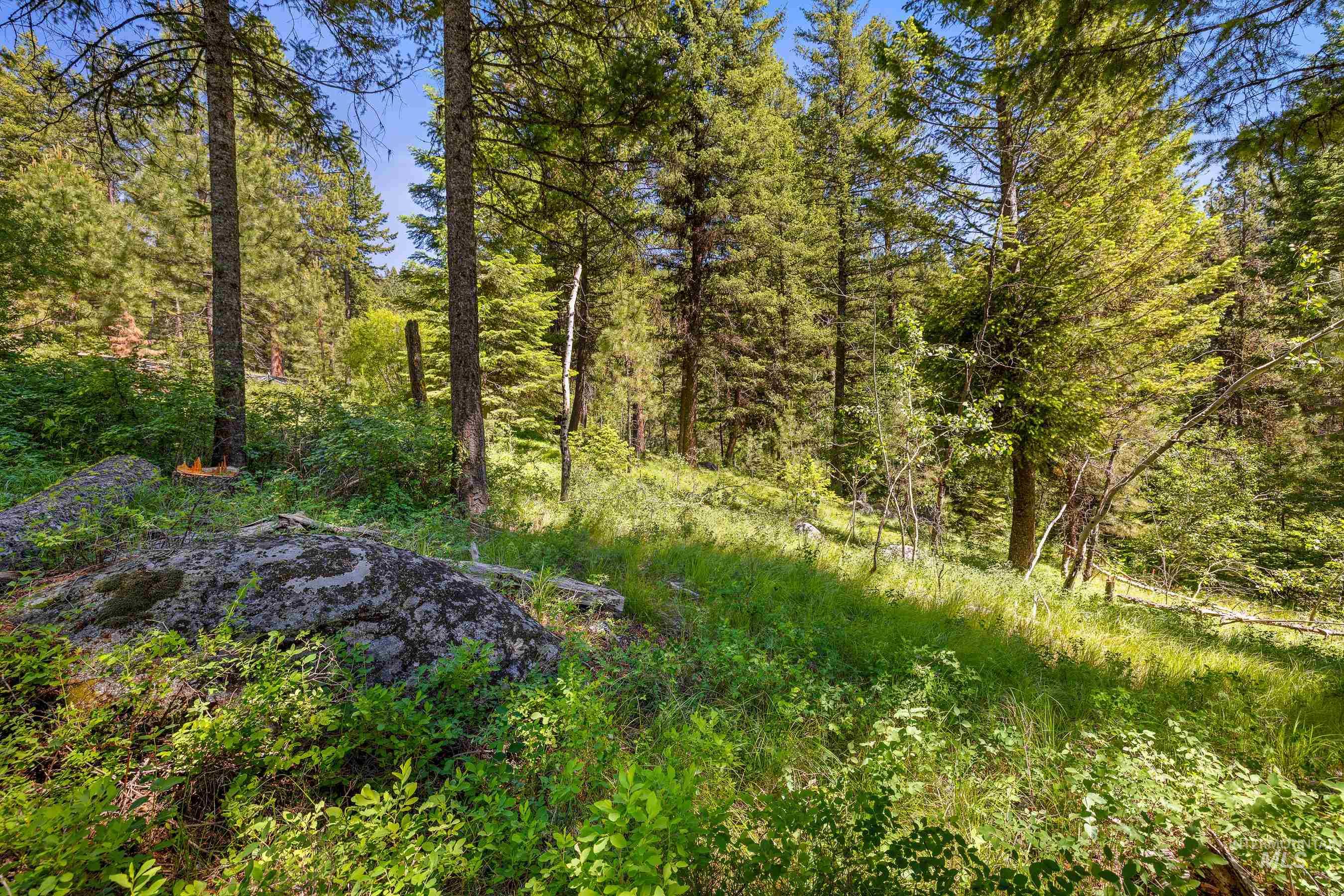 10 Collins Court, McCall, Idaho 83638, Land For Sale, Price $365,000,MLS 98916495
