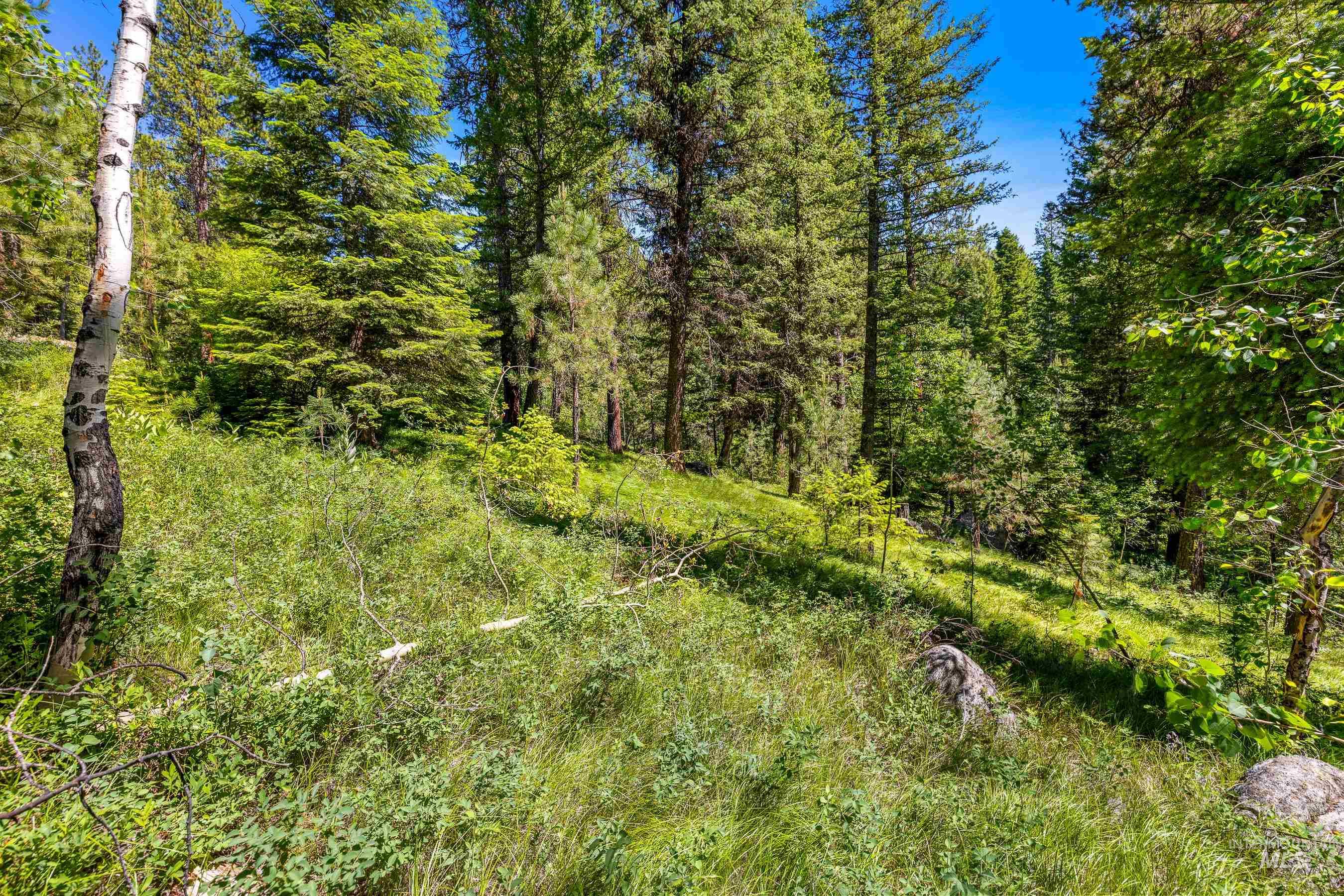 10 Collins Court, McCall, Idaho 83638, Land For Sale, Price $365,000,MLS 98916495
