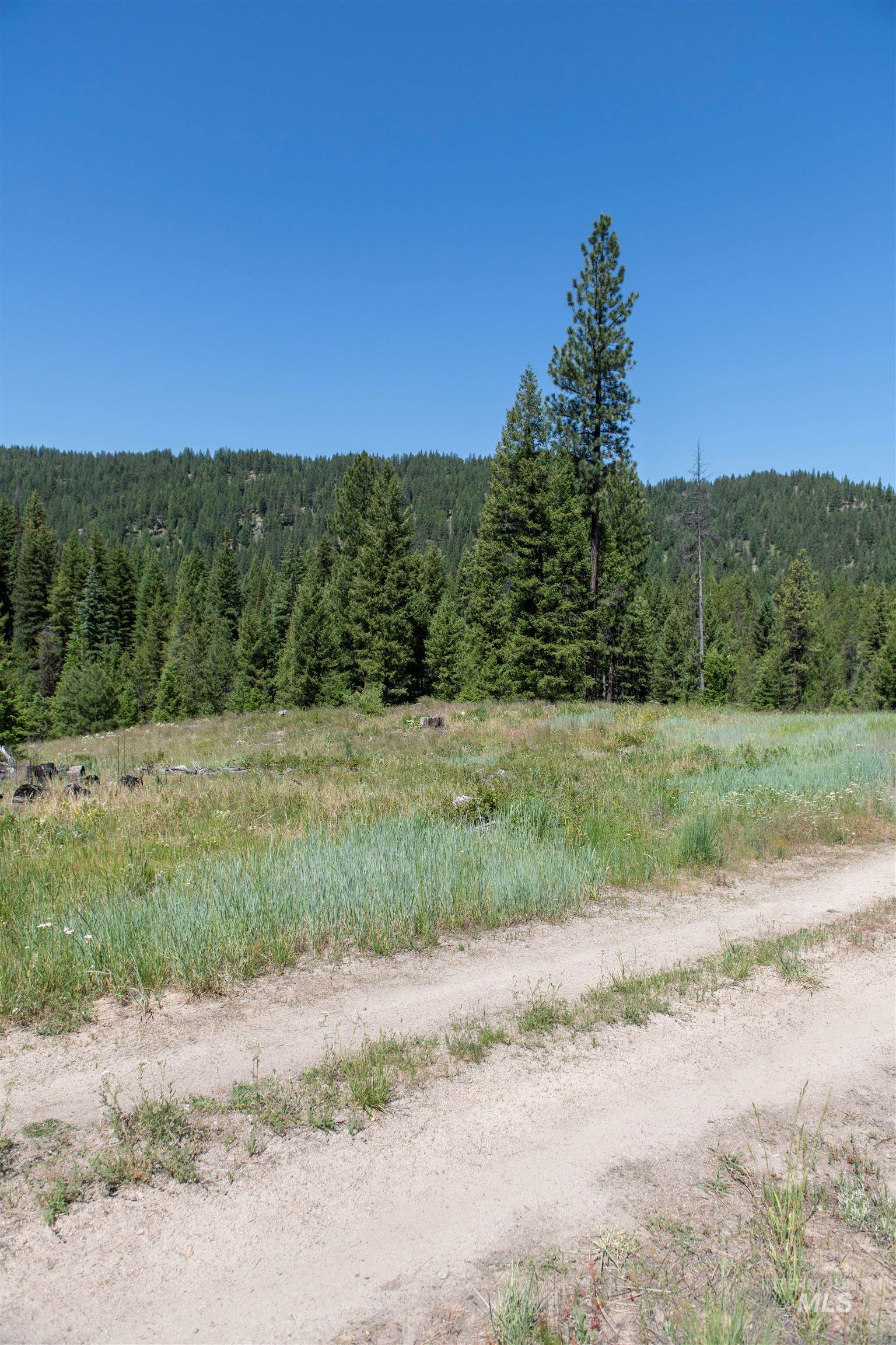 TBD 33 Clear Creek Road, Cascade, Idaho 83611, Land For Sale, Price $250,325, 98916723