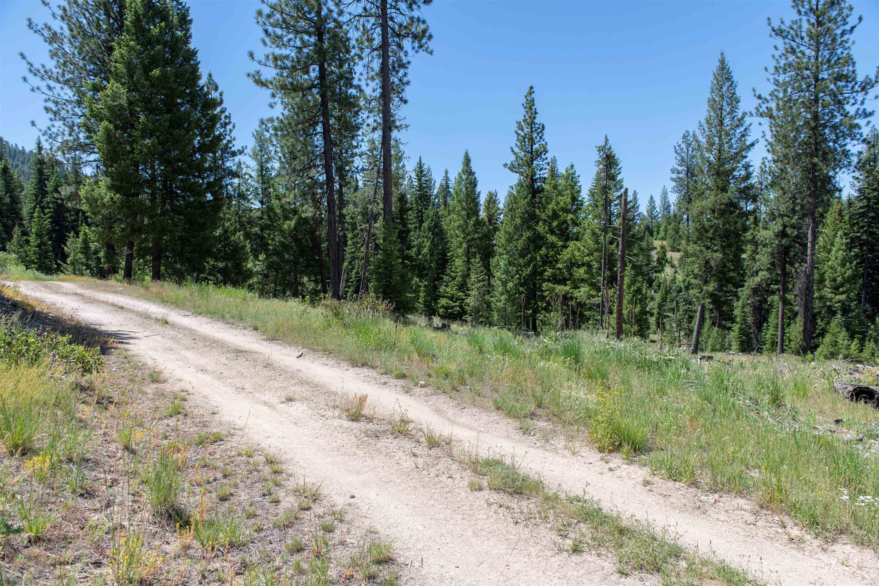 TBD 33 Clear Creek Road, Cascade, Idaho 83611, Land For Sale, Price $250,325, 98916723