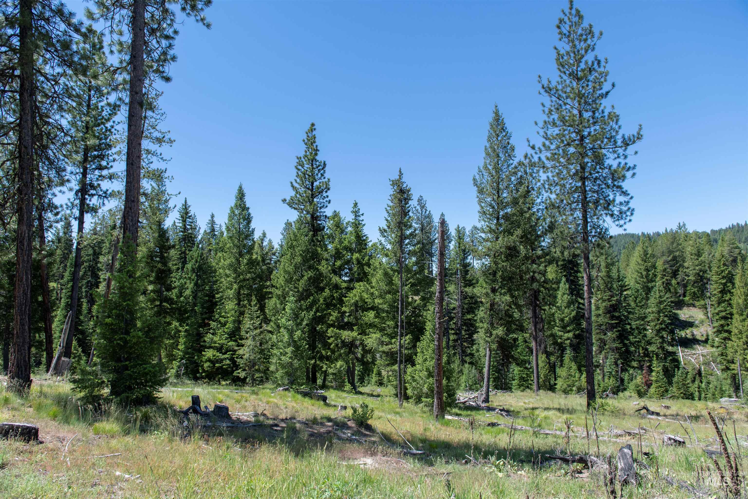 TBD 33 Clear Creek Road, Cascade, Idaho 83611, Land For Sale, Price $250,325, 98916723