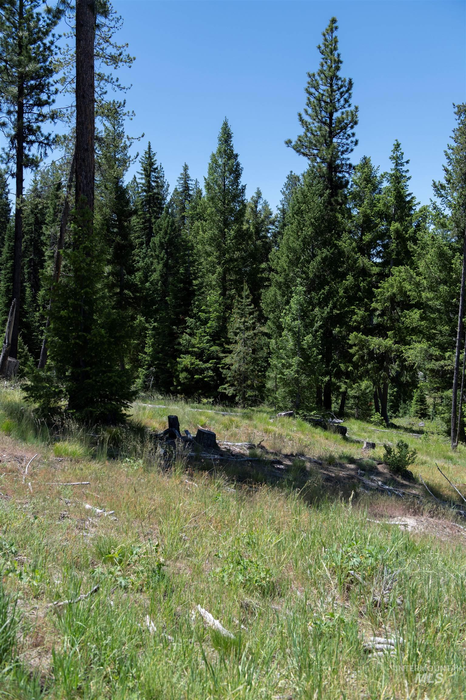 TBD 33 Clear Creek Road, Cascade, Idaho 83611, Land For Sale, Price $250,325, 98916723