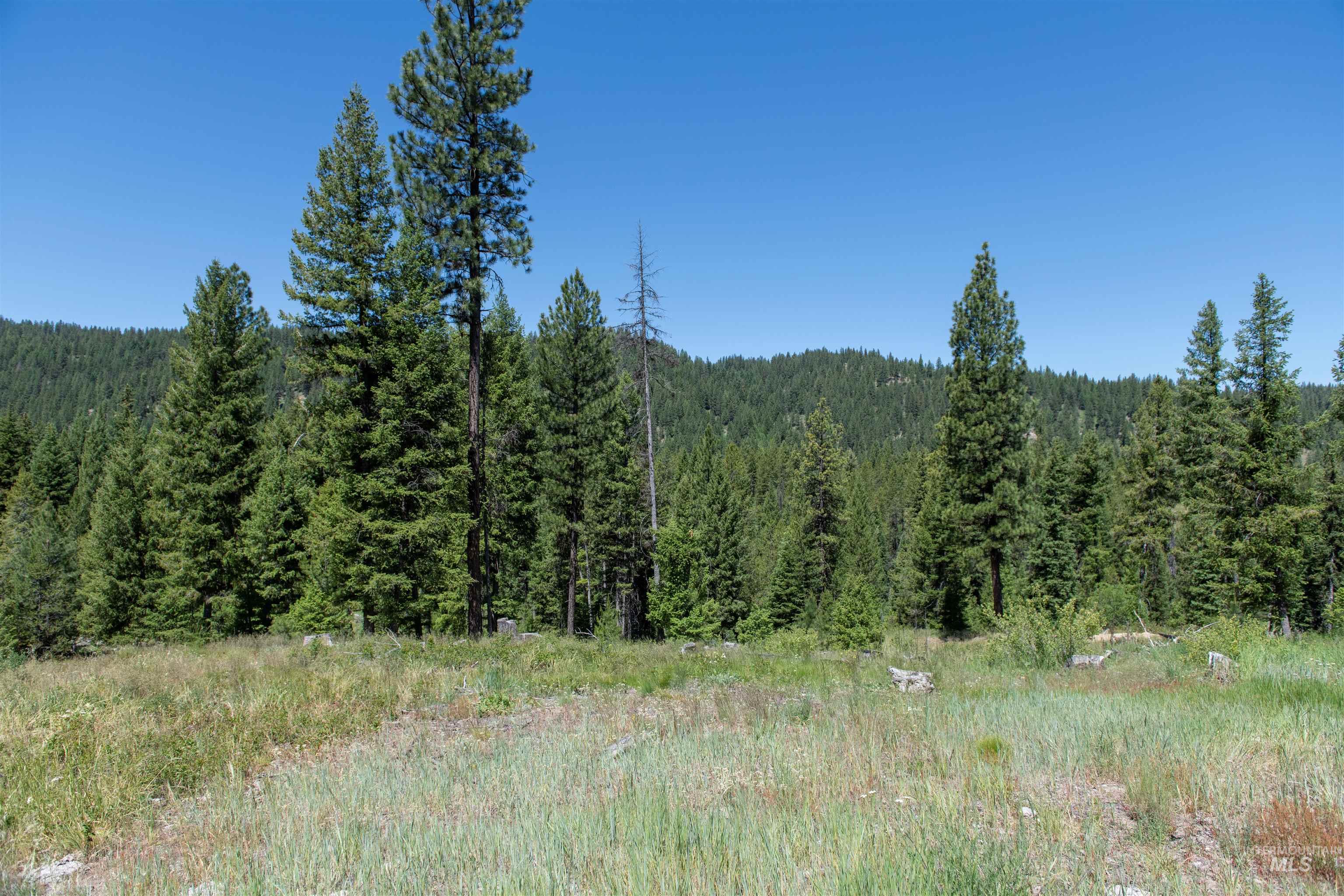 TBD 33 Clear Creek Road, Cascade, Idaho 83611, Land For Sale, Price $250,325, 98916723