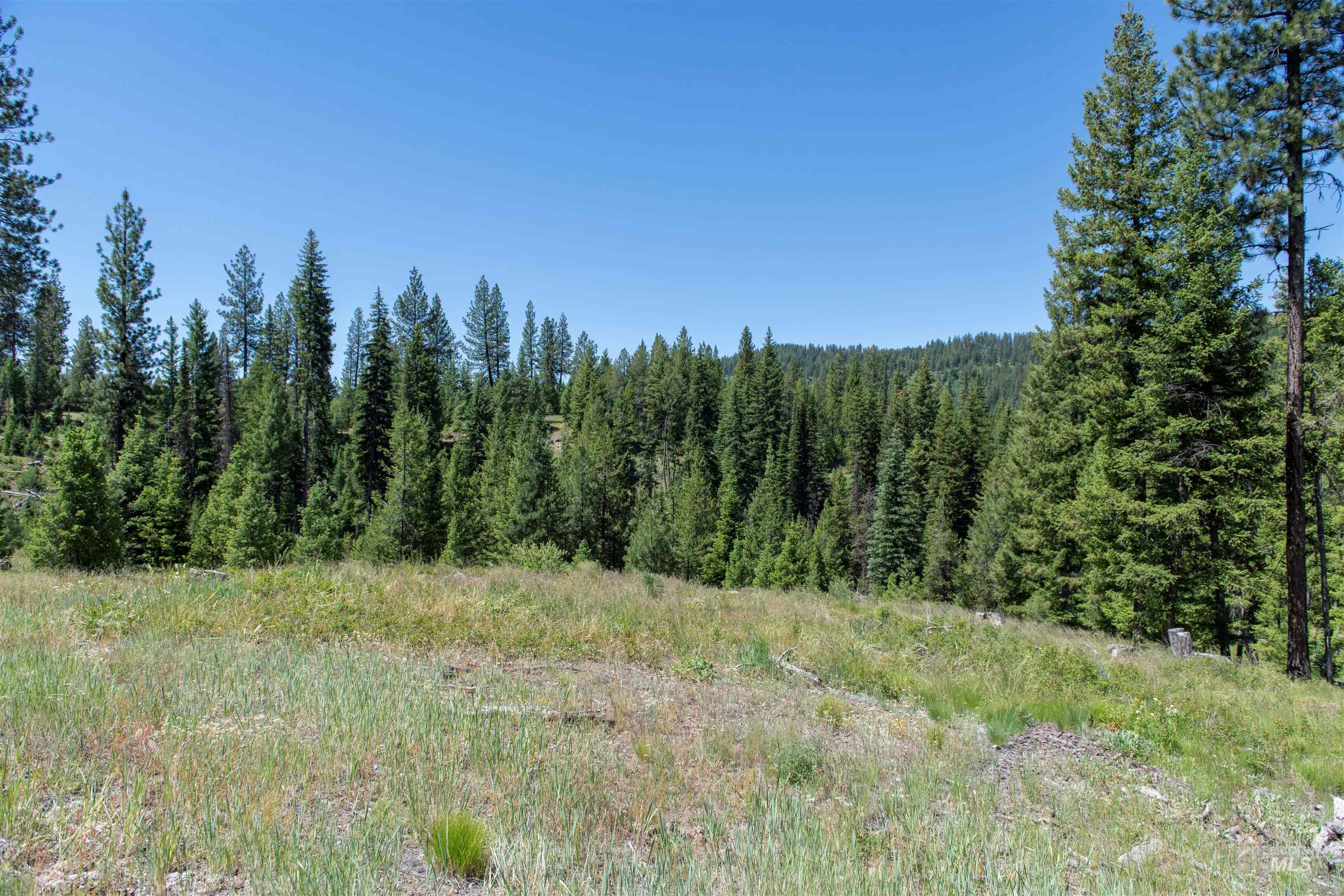 TBD 33 Clear Creek Road, Cascade, Idaho 83611, Land For Sale, Price $250,325, 98916723