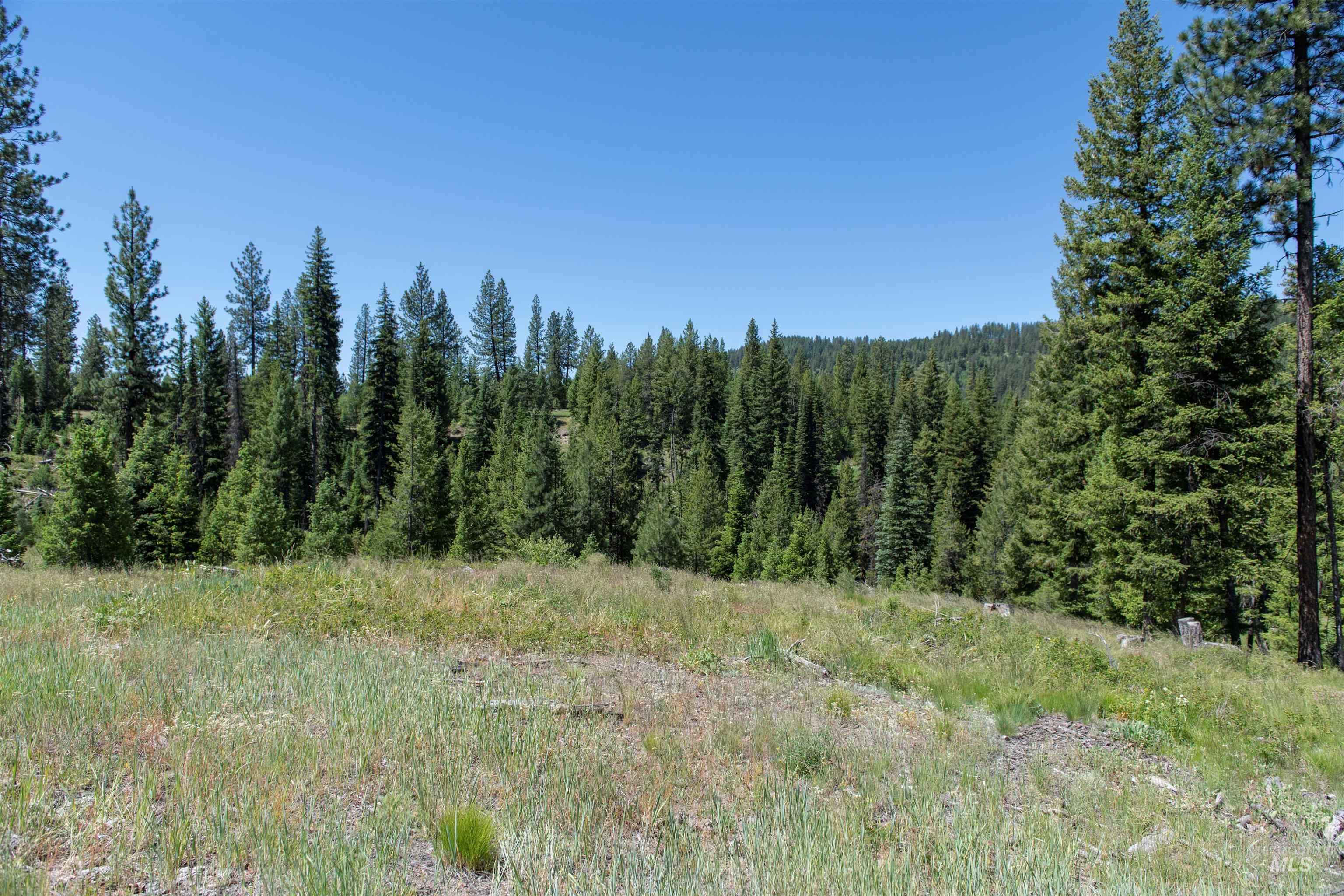 TBD 33 Clear Creek Road, Cascade, Idaho 83611, Land For Sale, Price $250,325, 98916723