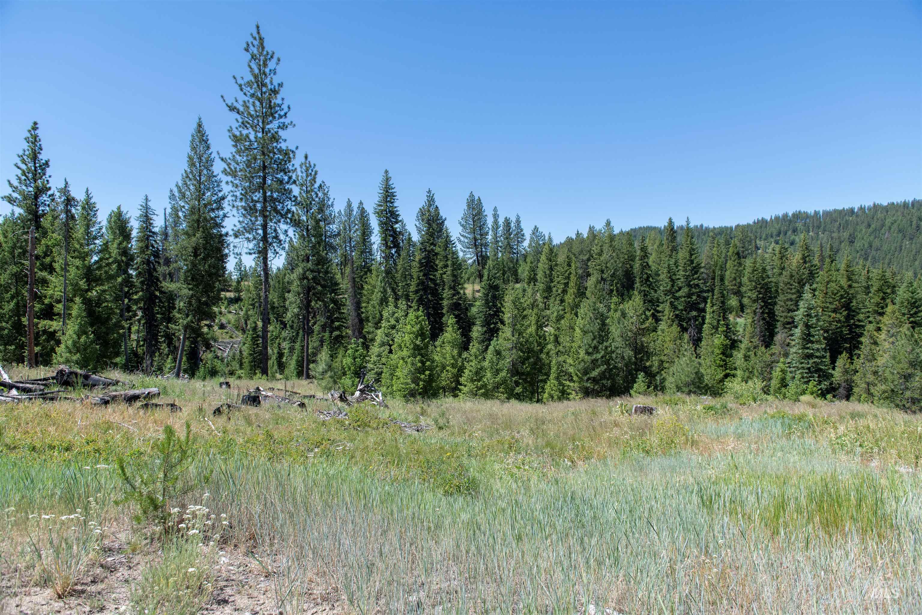 TBD 33 Clear Creek Road, Cascade, Idaho 83611, Land For Sale, Price $250,325, 98916723