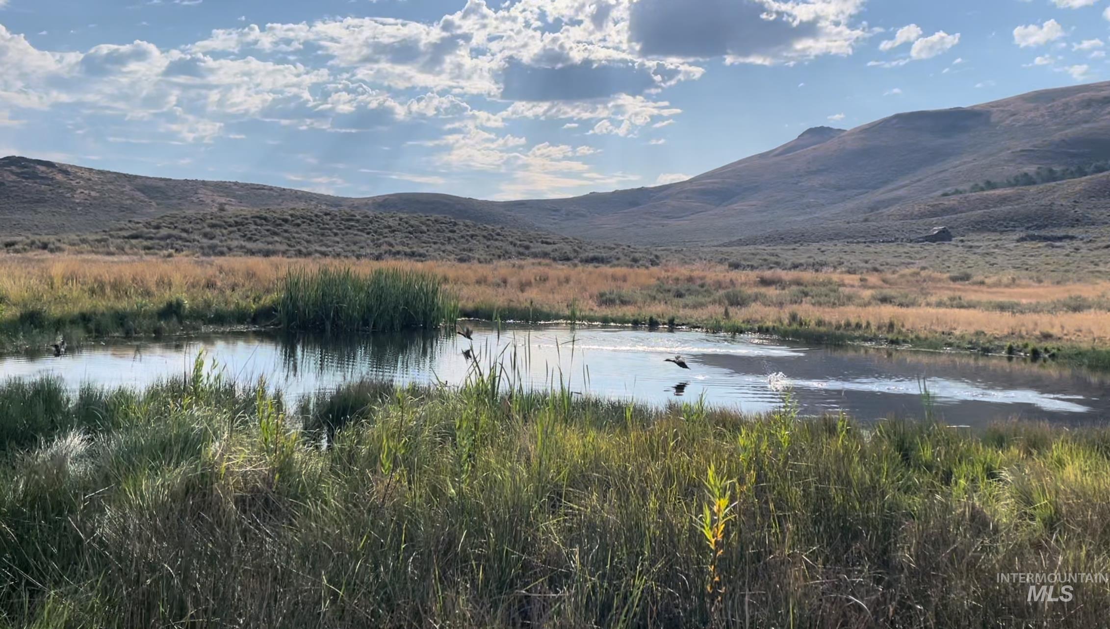 Monument Gulch 320, Fairfield, Idaho 83337, Land For Sale, Price $1,400,000, 98916793