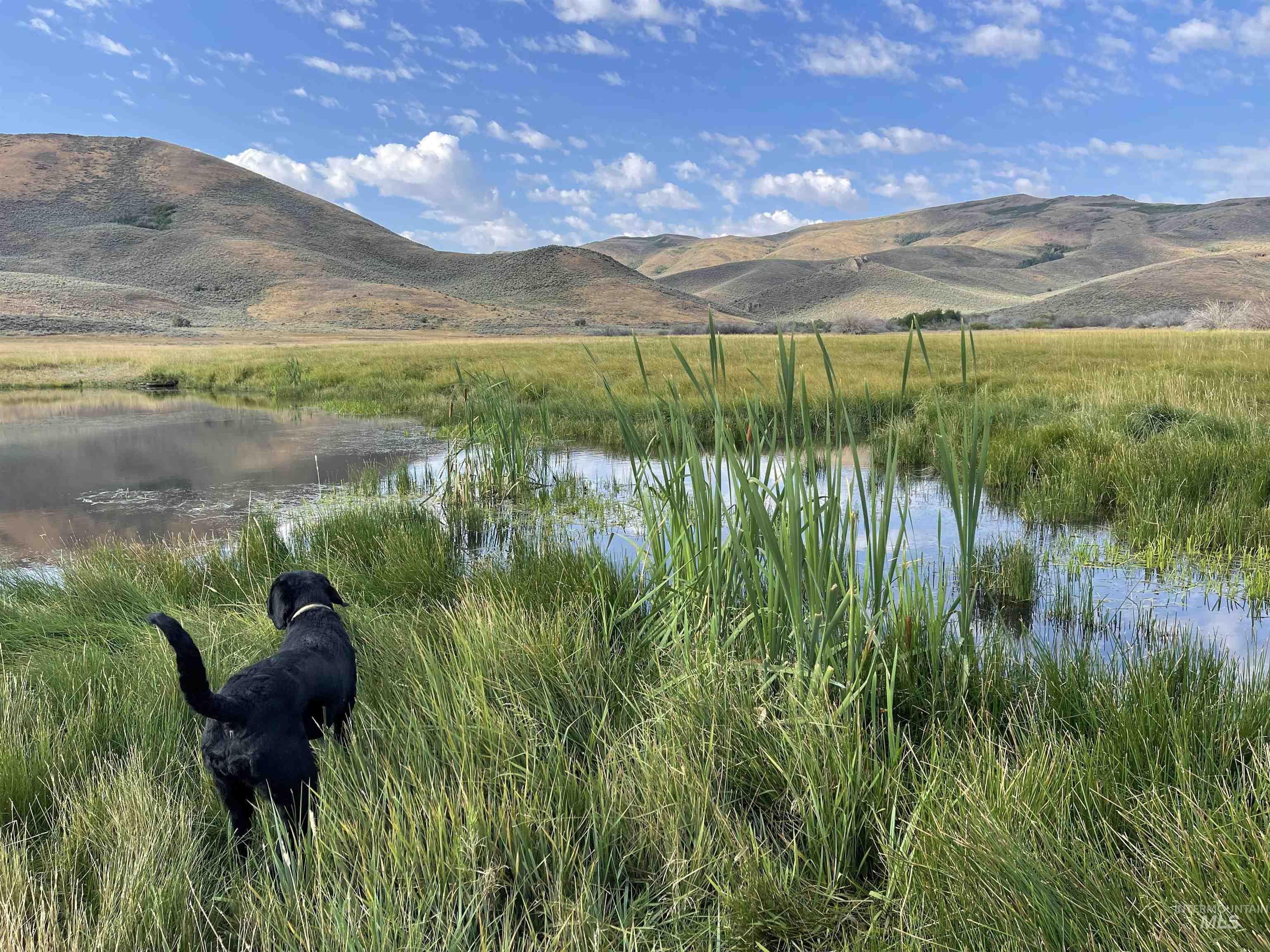 Monument Gulch 320, Fairfield, Idaho 83337, Land For Sale, Price $1,400,000, 98916793