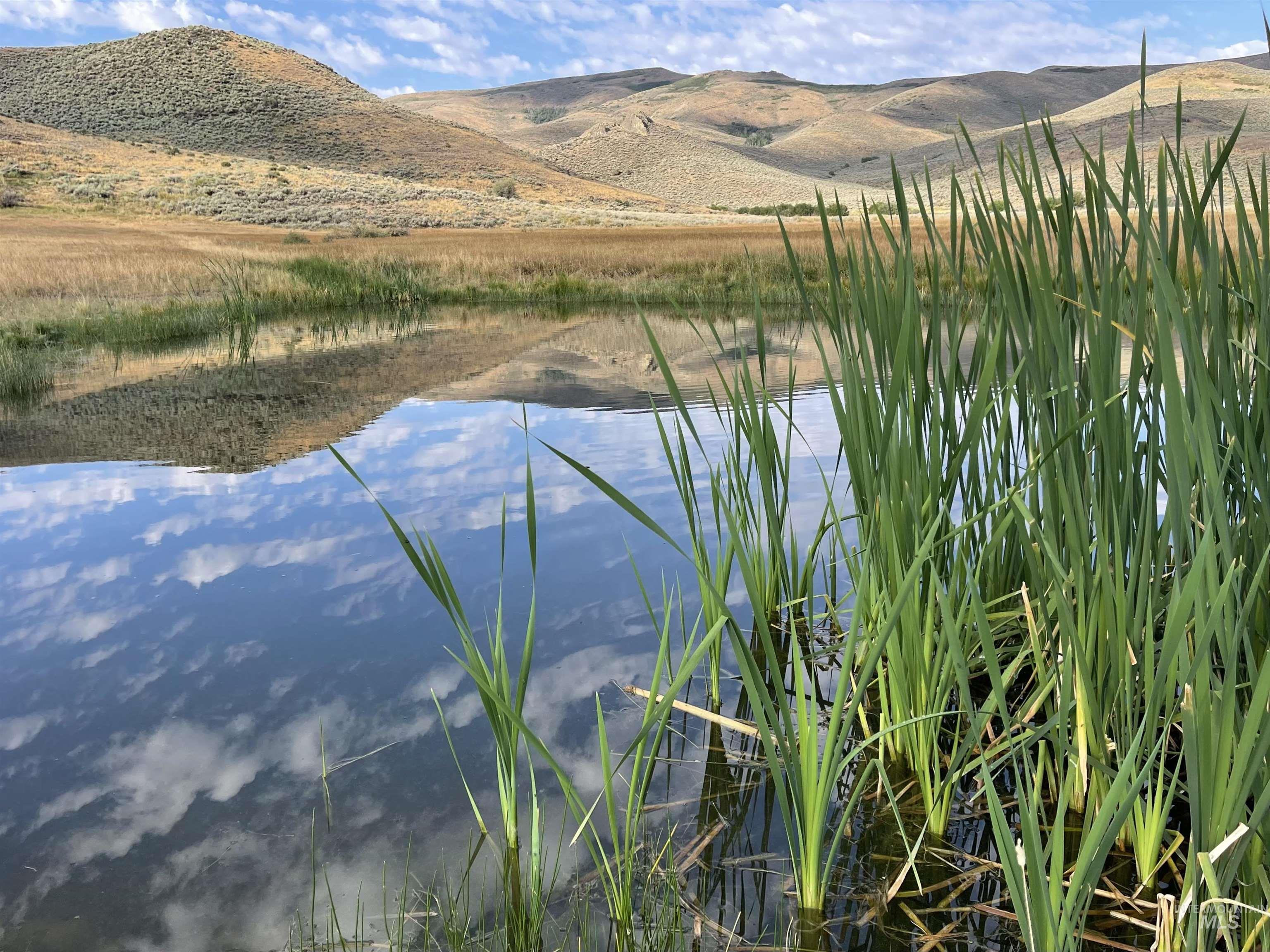 Monument Gulch 320, Fairfield, Idaho 83337, Land For Sale, Price $1,400,000, 98916793