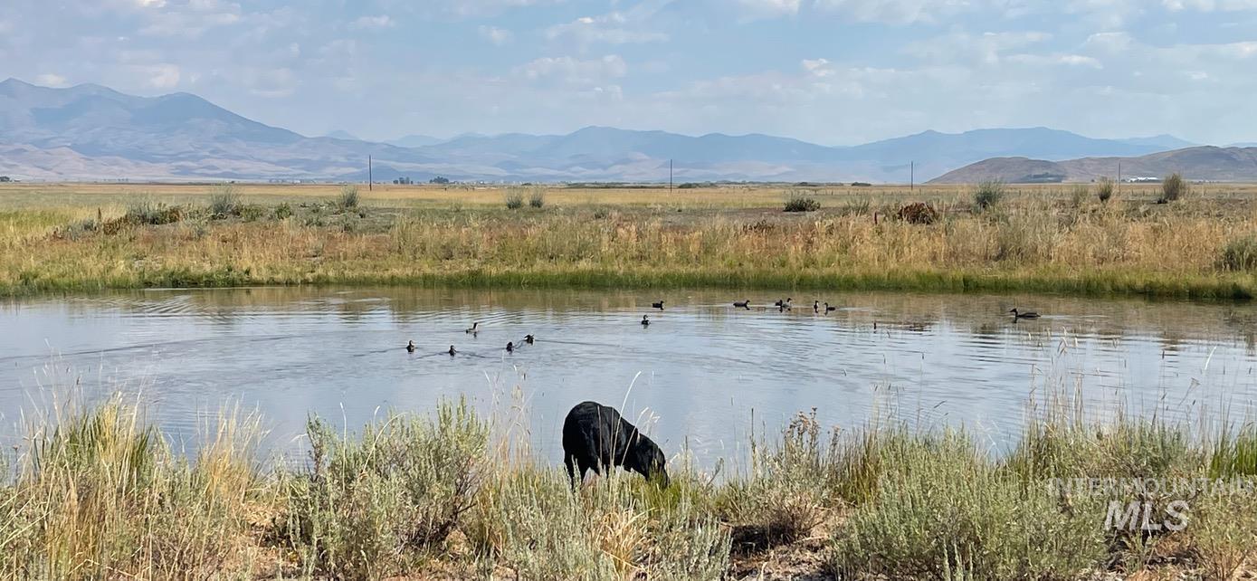 Monument Gulch 320, Fairfield, Idaho 83337, Land For Sale, Price $1,400,000, 98916793