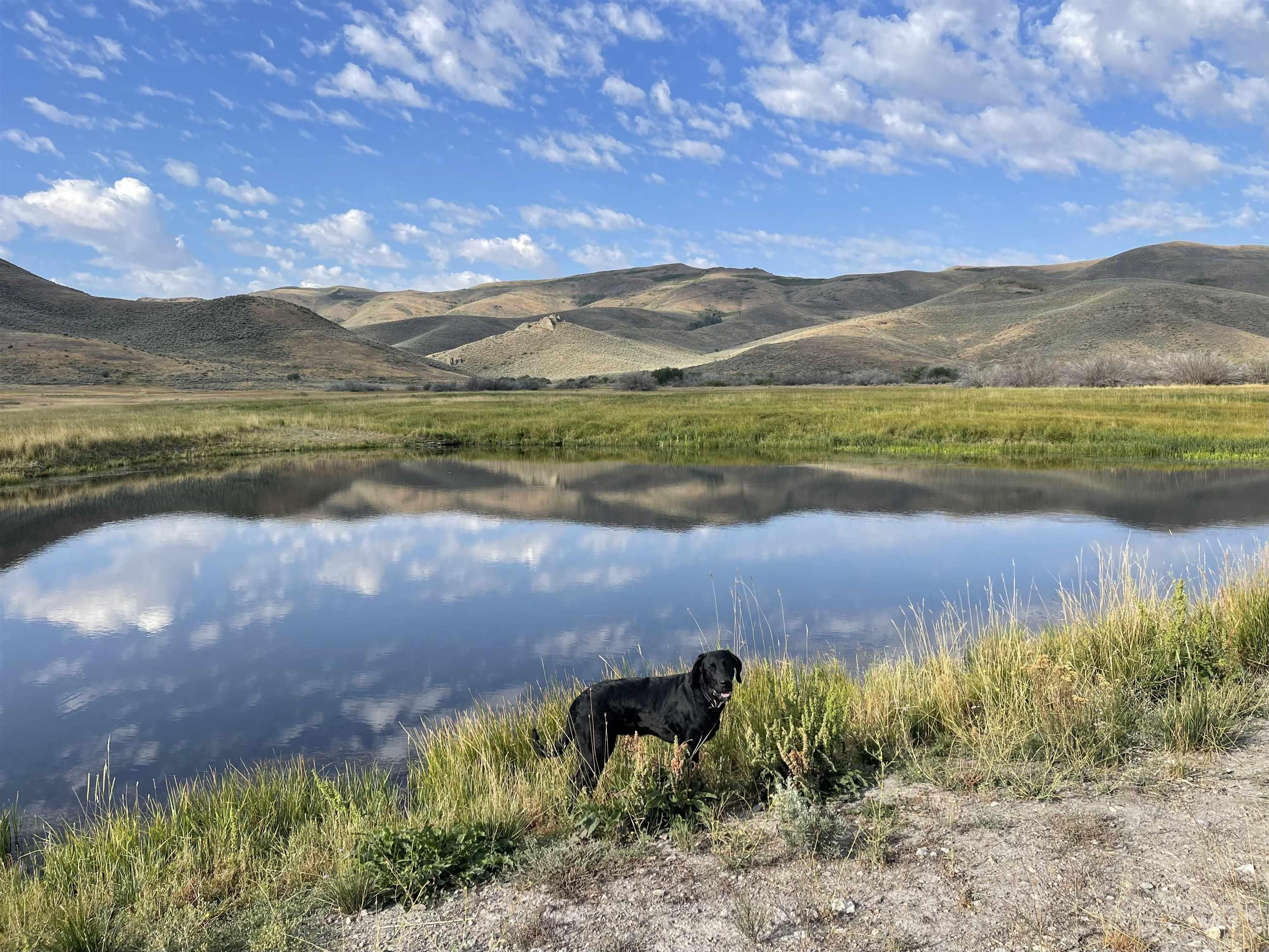 Monument Gulch 320, Fairfield, Idaho 83337, Land For Sale, Price $1,400,000, 98916793