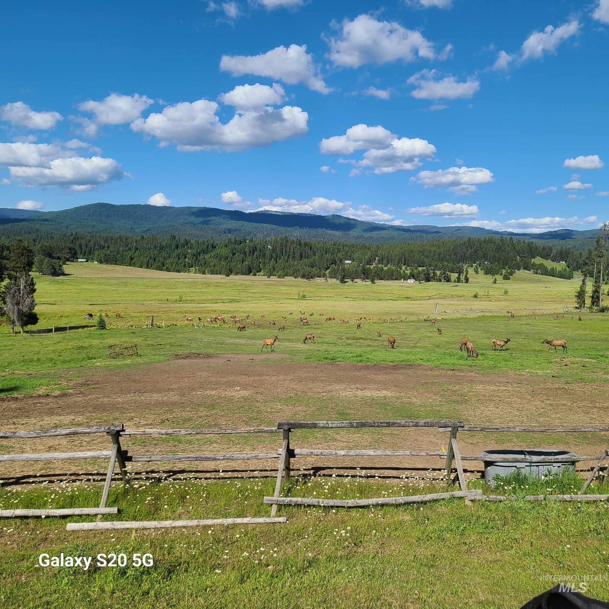 1050 Maxwell Lane, Elk City, Idaho 83525, 3 Bedrooms, 2 Bathrooms, Residential For Sale, Price $710,000, 98916894