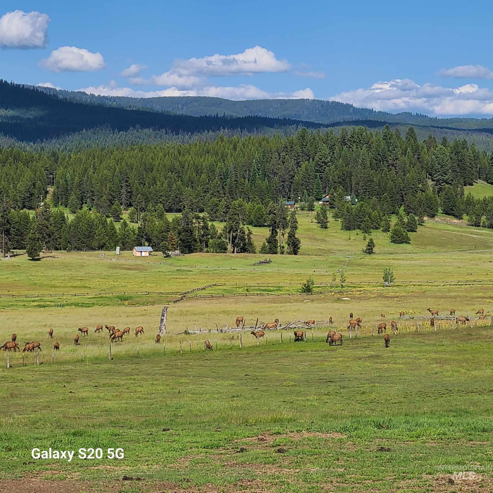 1050 Maxwell Lane, Elk City, Idaho 83525, 3 Bedrooms, 2 Bathrooms, Residential For Sale, Price $710,000, 98916894