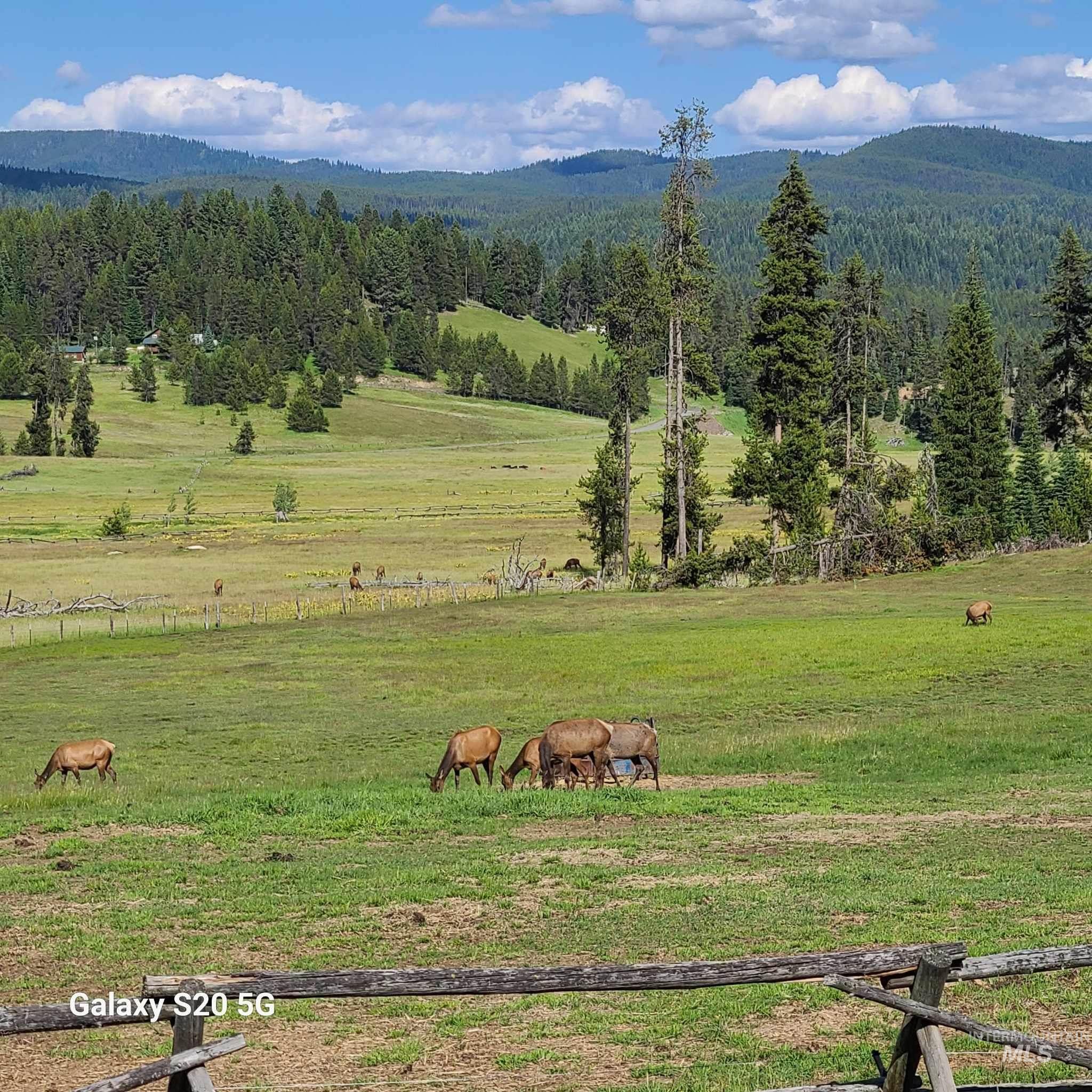 1050 Maxwell Lane, Elk City, Idaho 83525, 3 Bedrooms, 2 Bathrooms, Residential For Sale, Price $710,000, 98916894