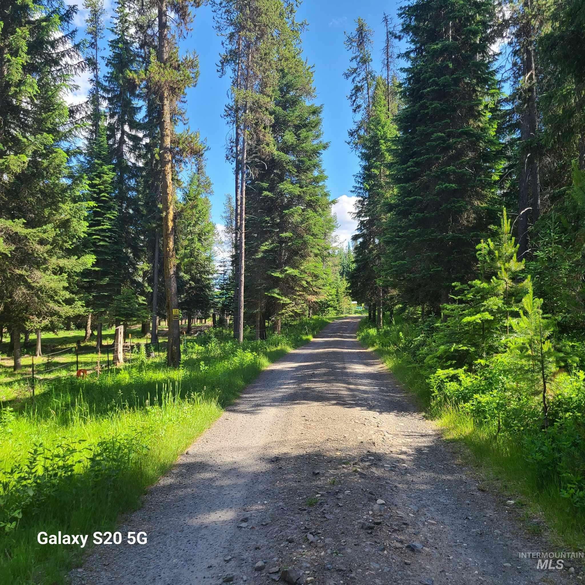 1050 Maxwell Lane, Elk City, Idaho 83525, 3 Bedrooms, 2 Bathrooms, Residential For Sale, Price $710,000, 98916894