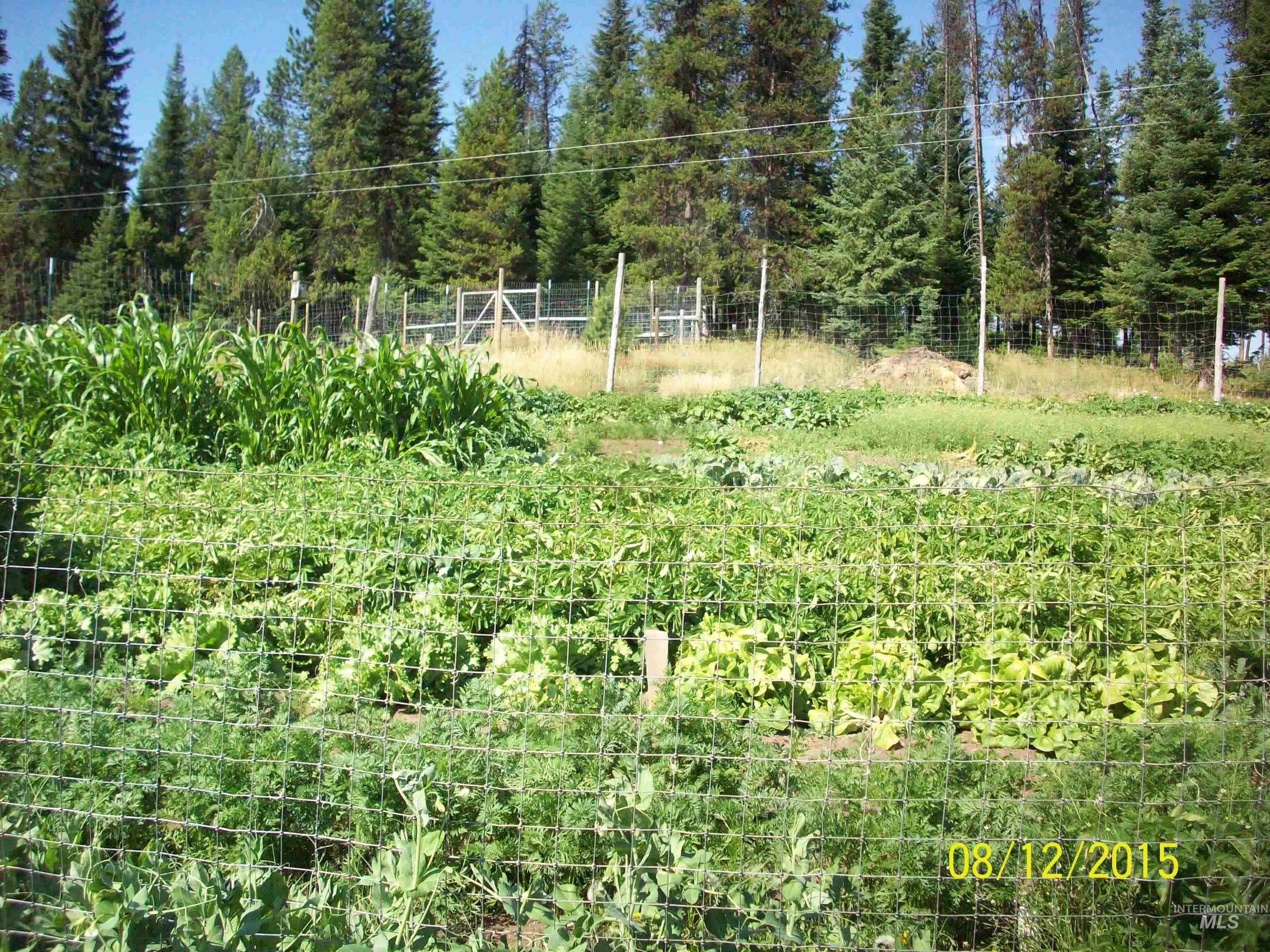 1050 Maxwell Lane, Elk City, Idaho 83525, 3 Bedrooms, 2 Bathrooms, Residential For Sale, Price $710,000, 98916894