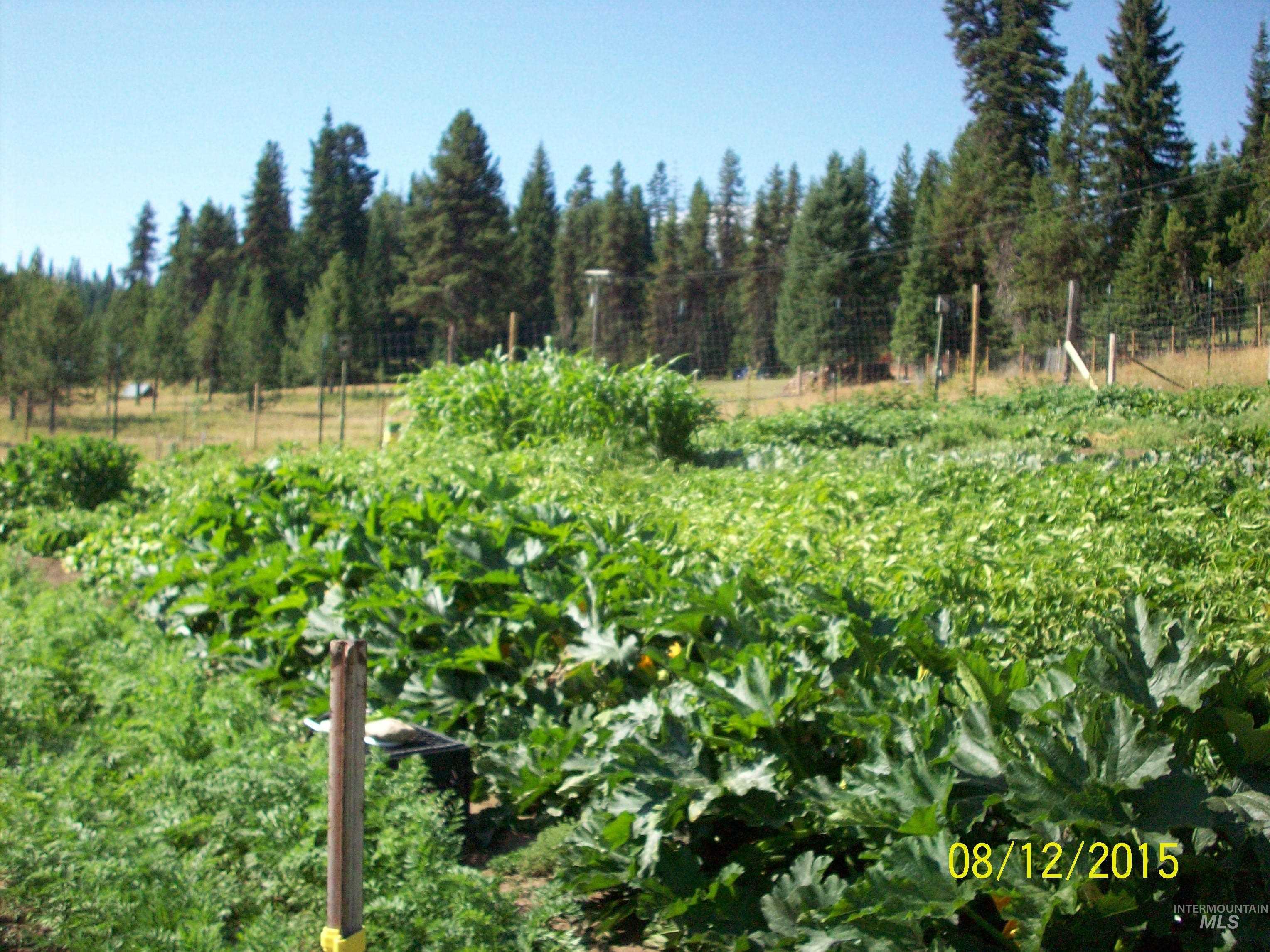 1050 Maxwell Lane, Elk City, Idaho 83525, 3 Bedrooms, 2 Bathrooms, Residential For Sale, Price $710,000, 98916894