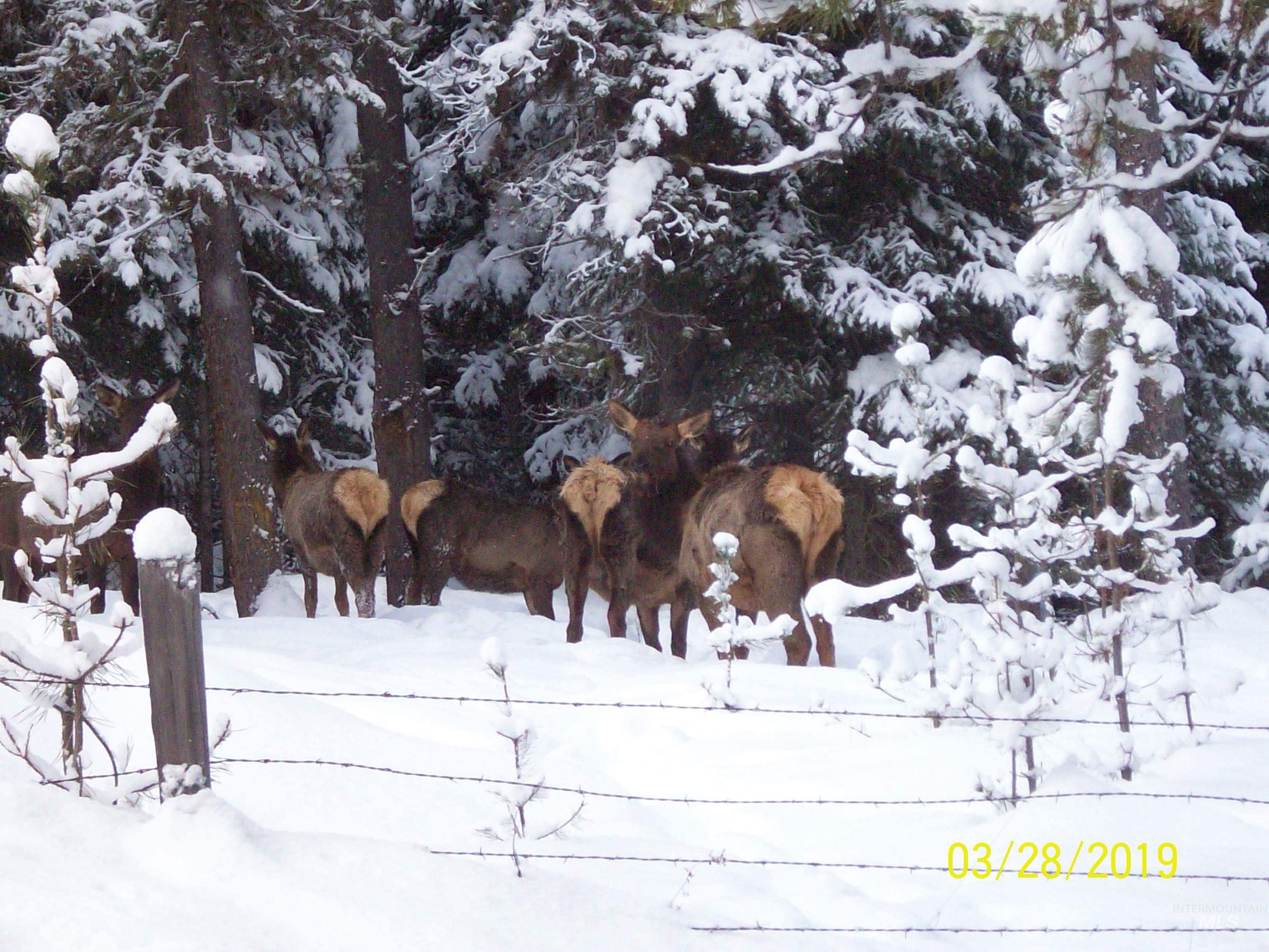 1050 Maxwell Lane, Elk City, Idaho 83525, 3 Bedrooms, 2 Bathrooms, Residential For Sale, Price $710,000, 98916894