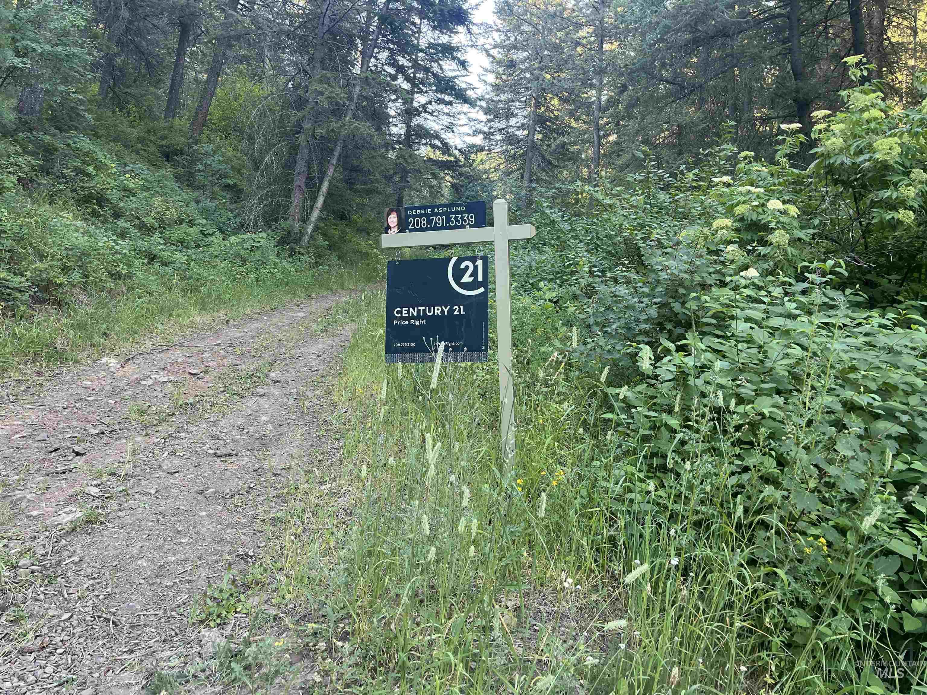 tbd Bobcat lane, Lewiston, Idaho 83501, Land For Sale, Price $93,900, 98916953