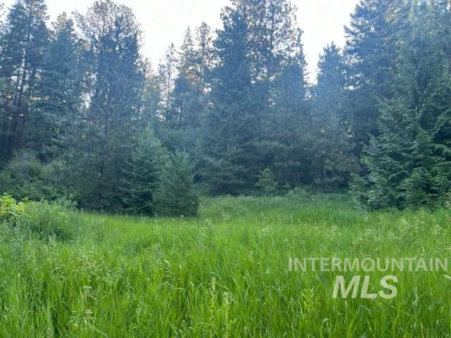 tbd Bobcat lane, Lewiston, Idaho 83501, Land For Sale, Price $93,900, 98916953