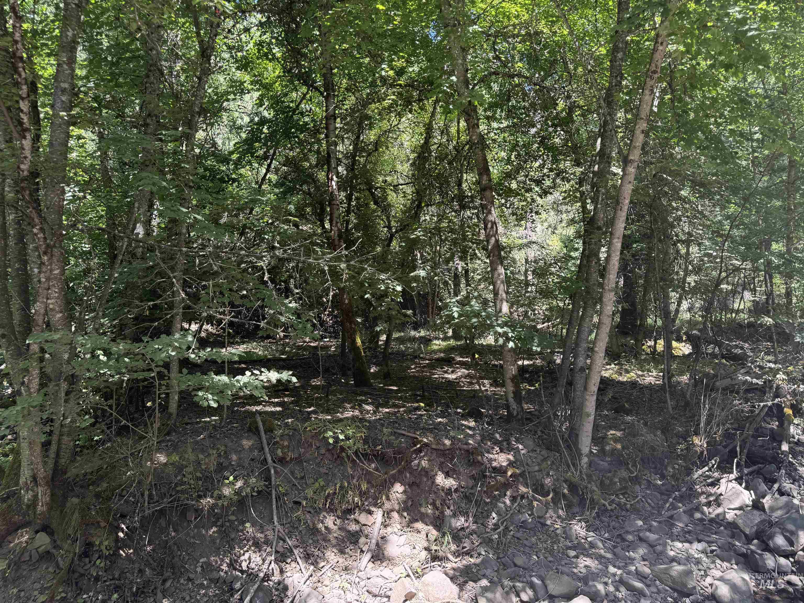 187 Deer Creek Rd, Orofino, Idaho 83544, Land For Sale, Price $45,000, 98917163