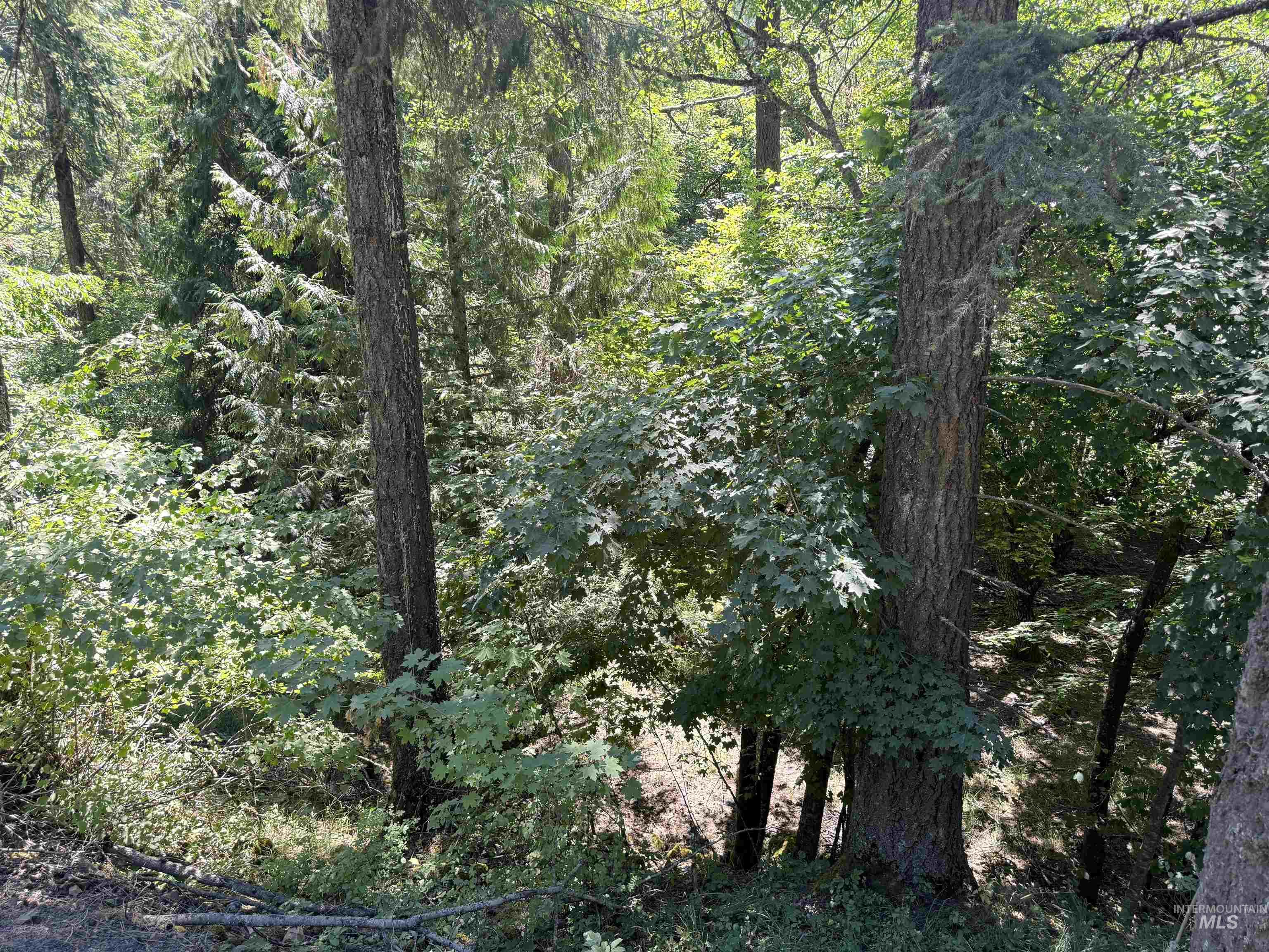 187 Deer Creek Rd, Orofino, Idaho 83544, Land For Sale, Price $45,000, 98917163