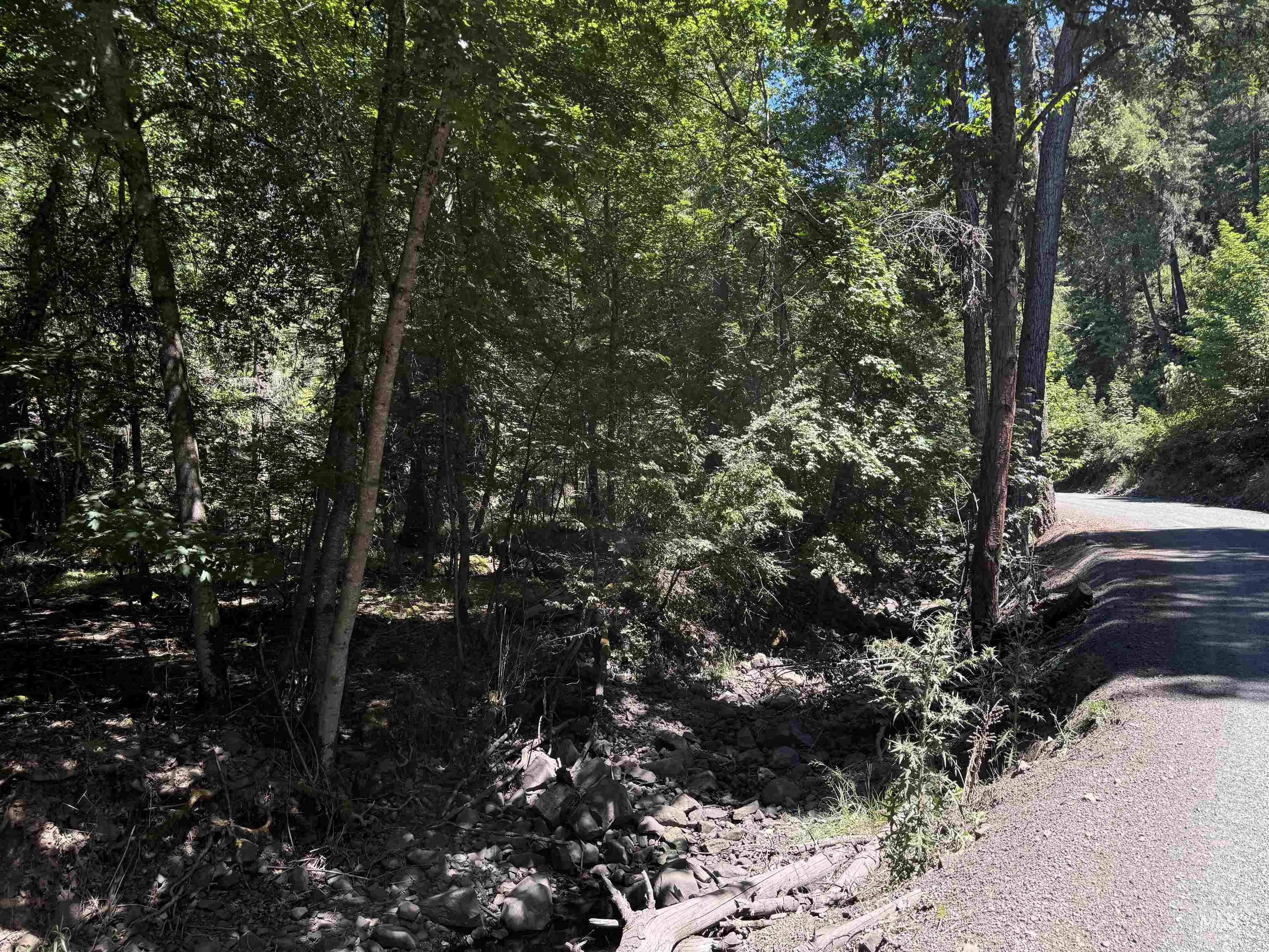 187 Deer Creek Rd, Orofino, Idaho 83544, Land For Sale, Price $45,000, 98917163