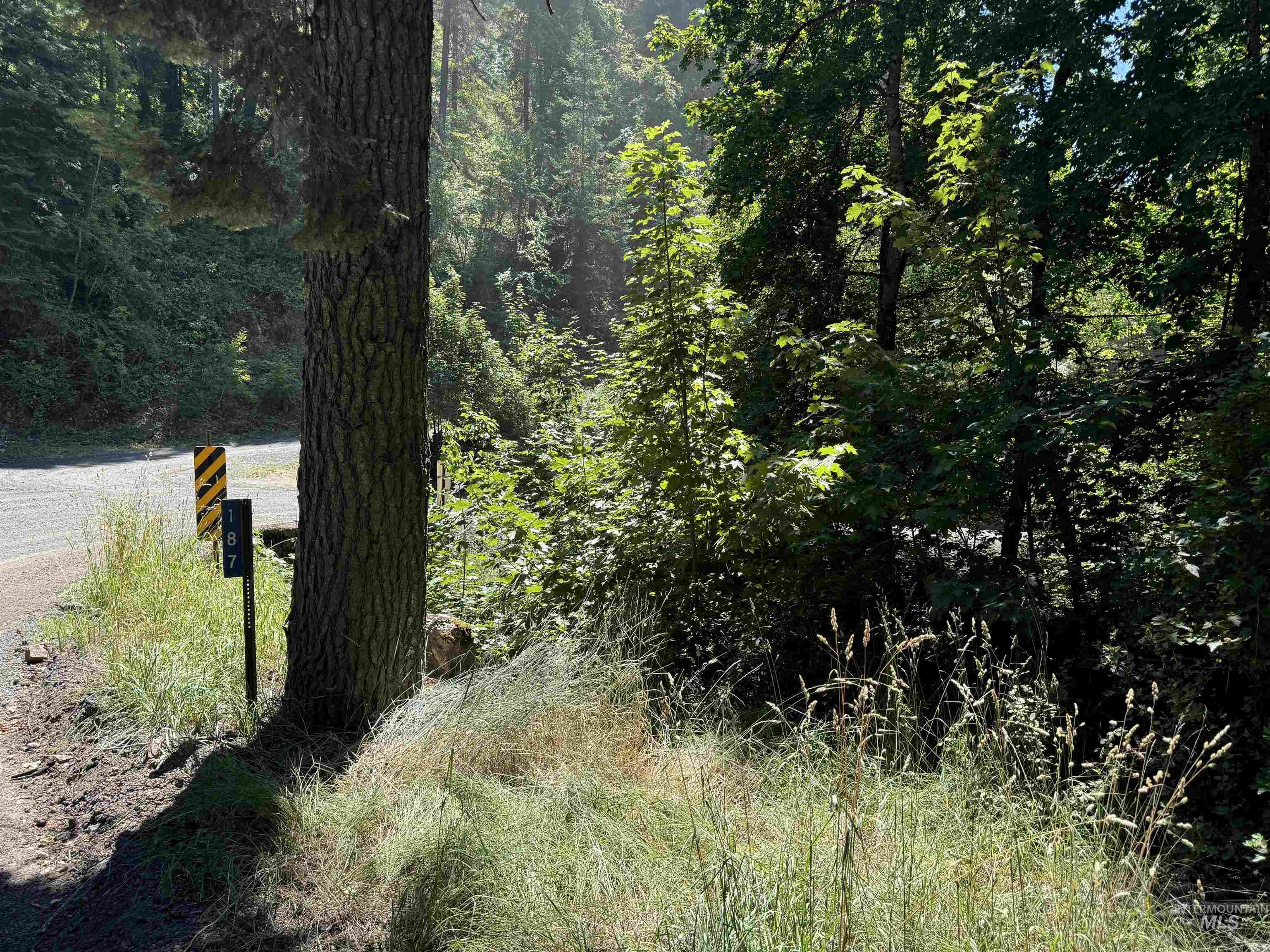 187 Deer Creek Rd, Orofino, Idaho 83544, Land For Sale, Price $45,000, 98917163