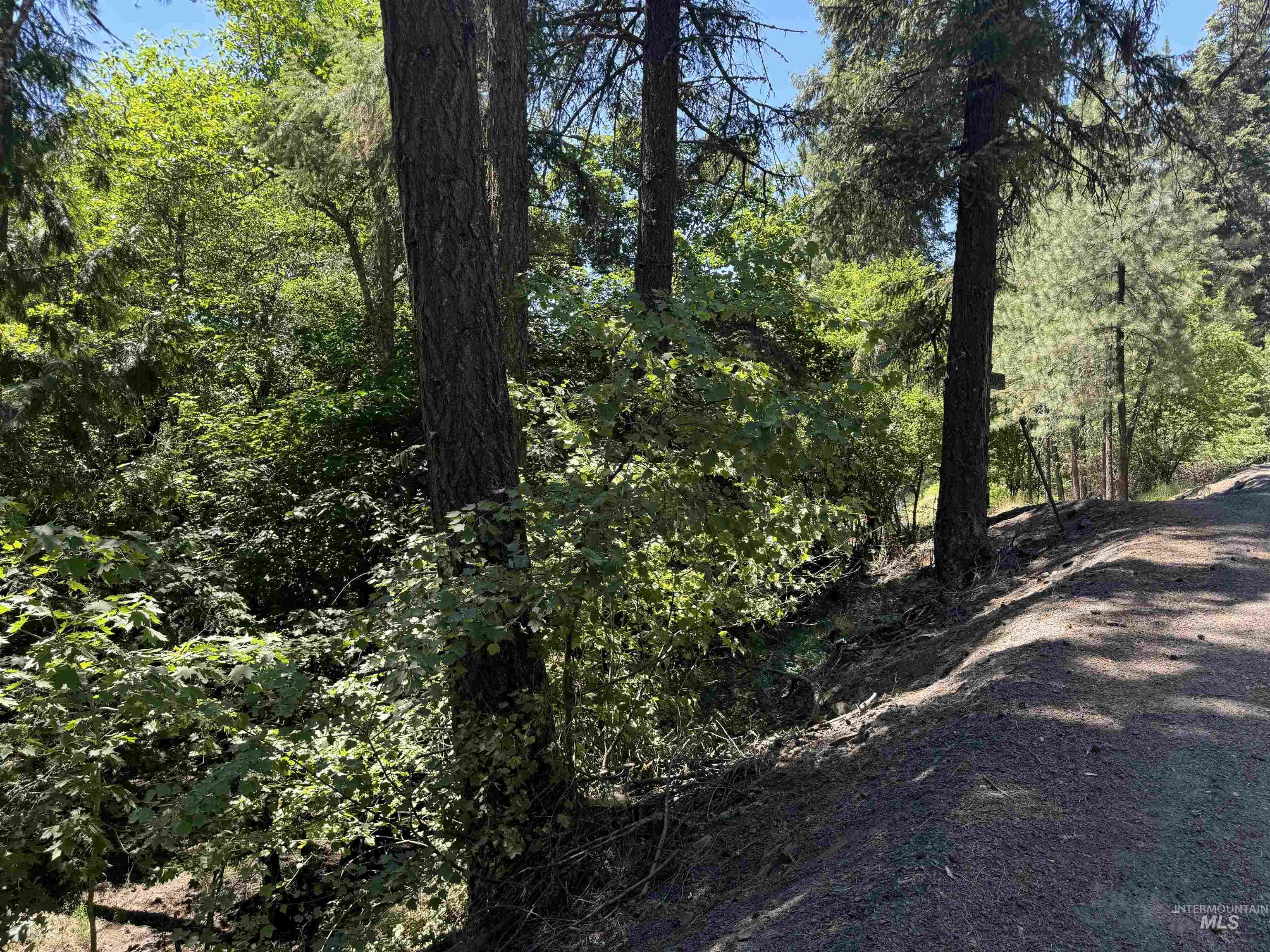 187 Deer Creek Rd, Orofino, Idaho 83544, Land For Sale, Price $45,000, 98917163
