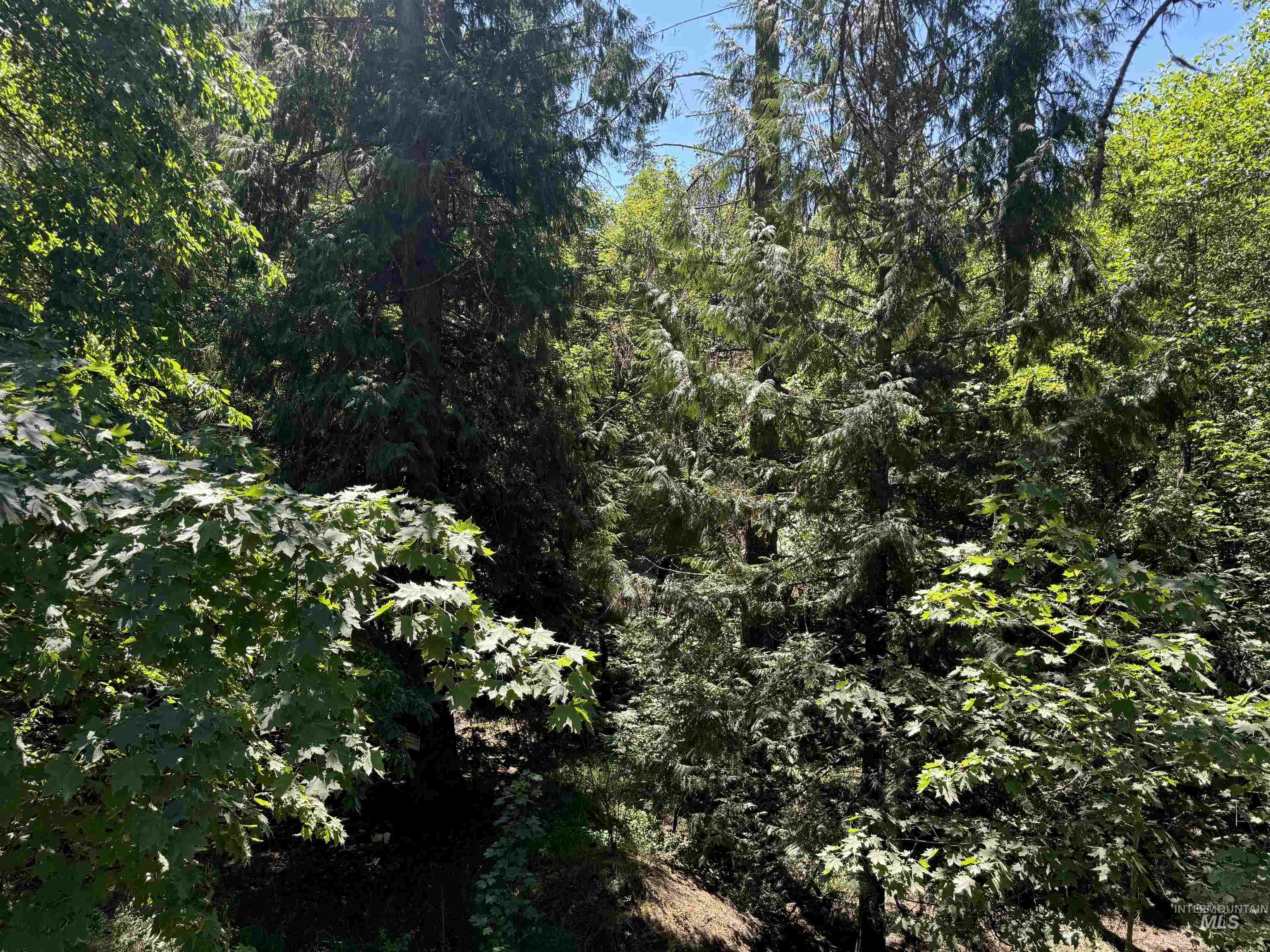 187 Deer Creek Rd, Orofino, Idaho 83544, Land For Sale, Price $45,000, 98917163