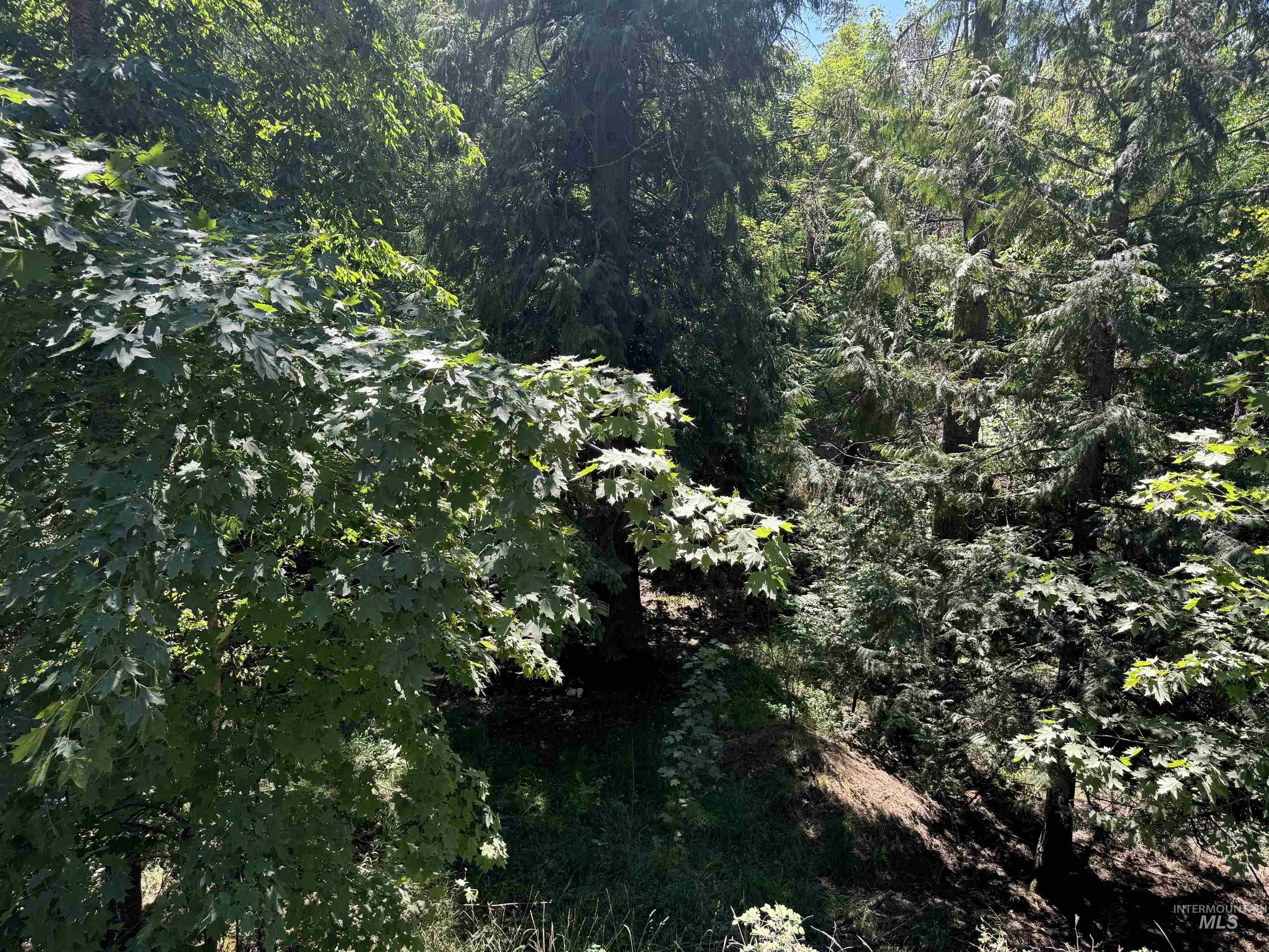 187 Deer Creek Rd, Orofino, Idaho 83544, Land For Sale, Price $45,000, 98917163