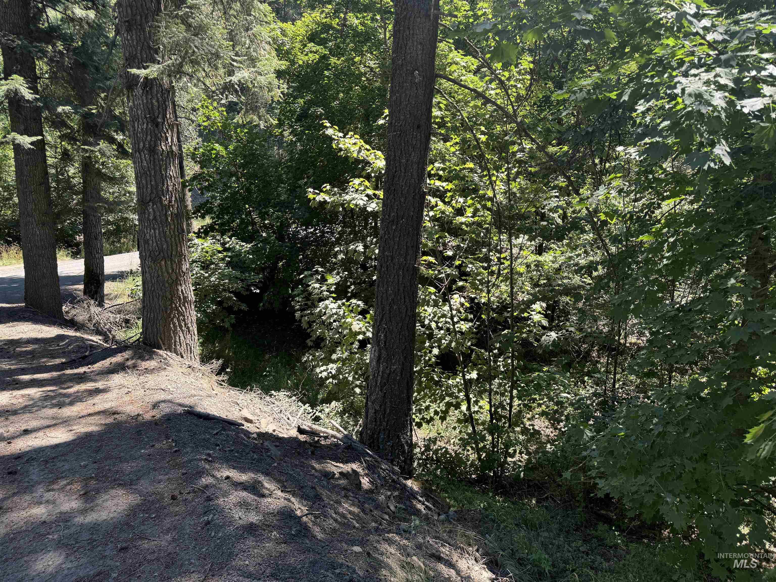 187 Deer Creek Rd, Orofino, Idaho 83544, Land For Sale, Price $45,000, 98917163