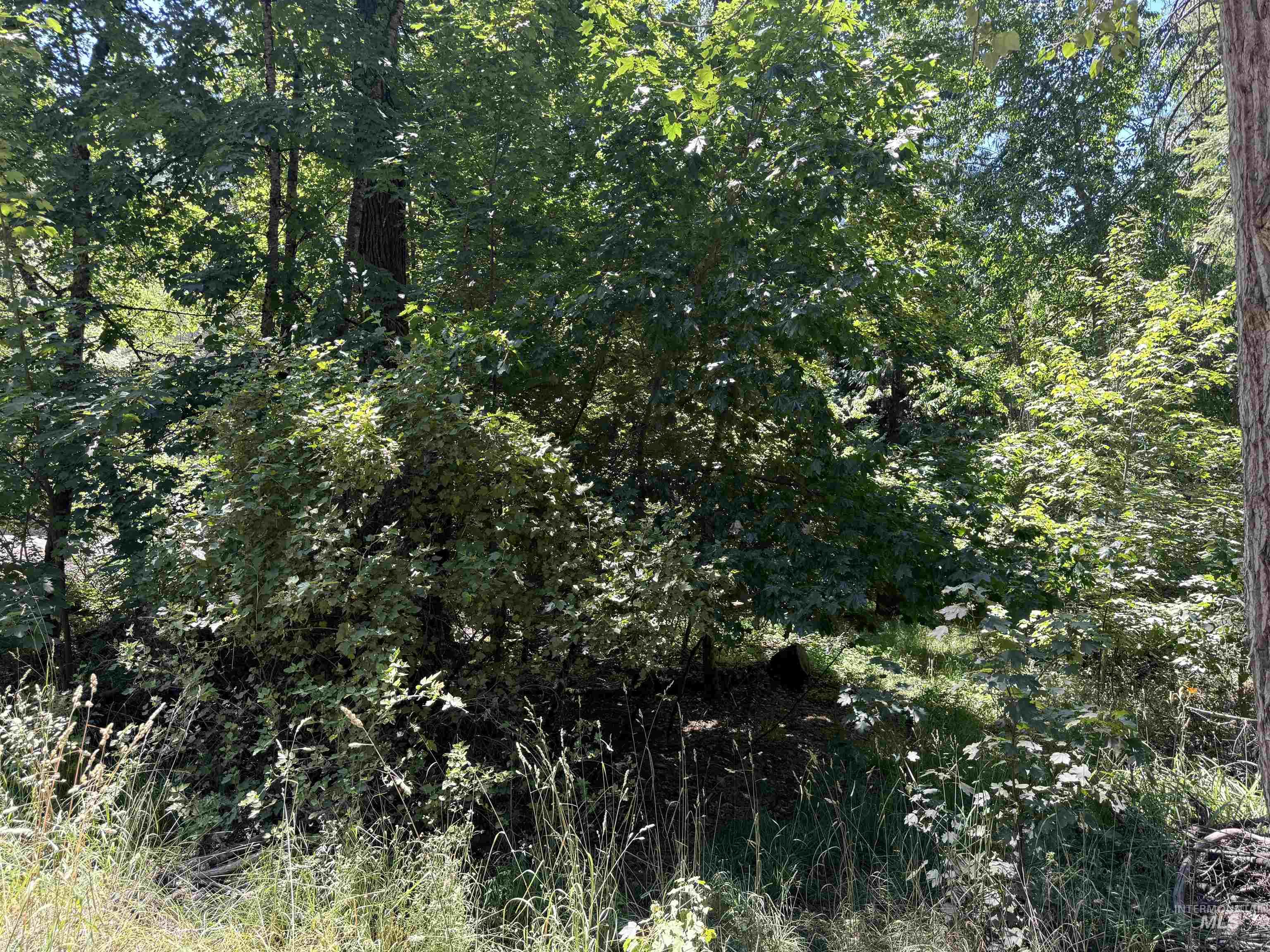 187 Deer Creek Rd, Orofino, Idaho 83544, Land For Sale, Price $45,000, 98917163