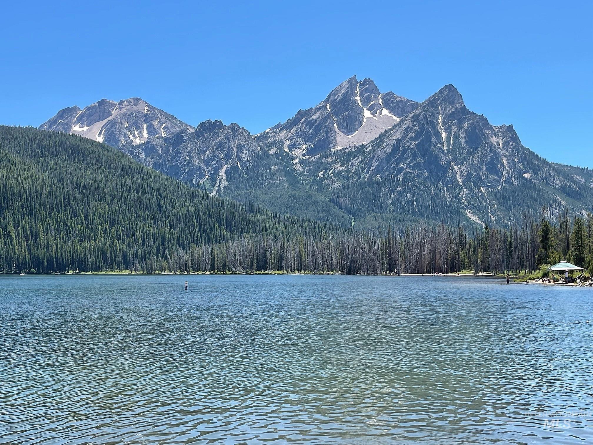 TBD Hwy 21, Stanley, Idaho 83278, Land For Sale, Price $2,500,000, 98917268