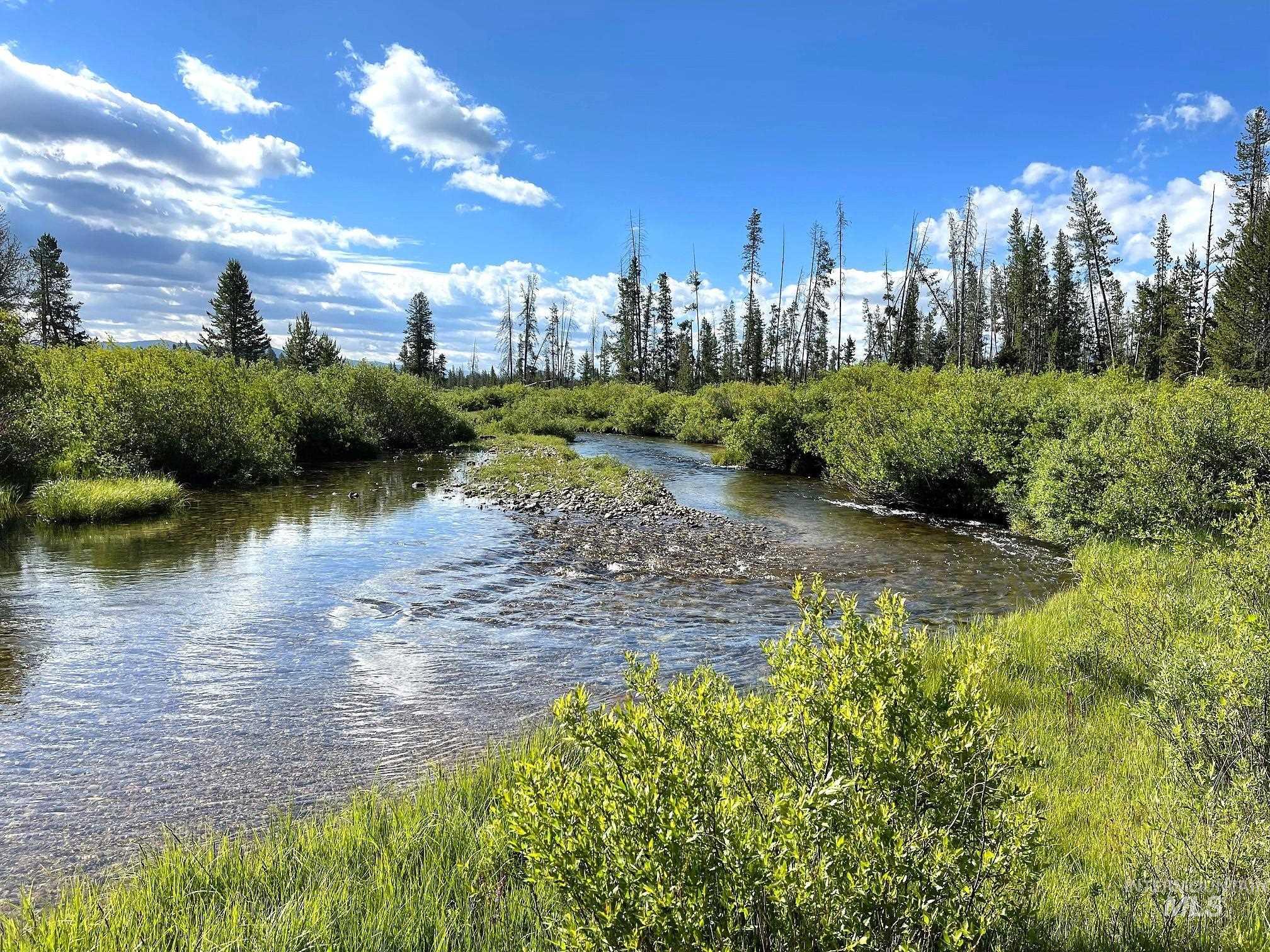 TBD Hwy 21, Stanley, Idaho 83278, Land For Sale, Price $2,500,000, 98917268