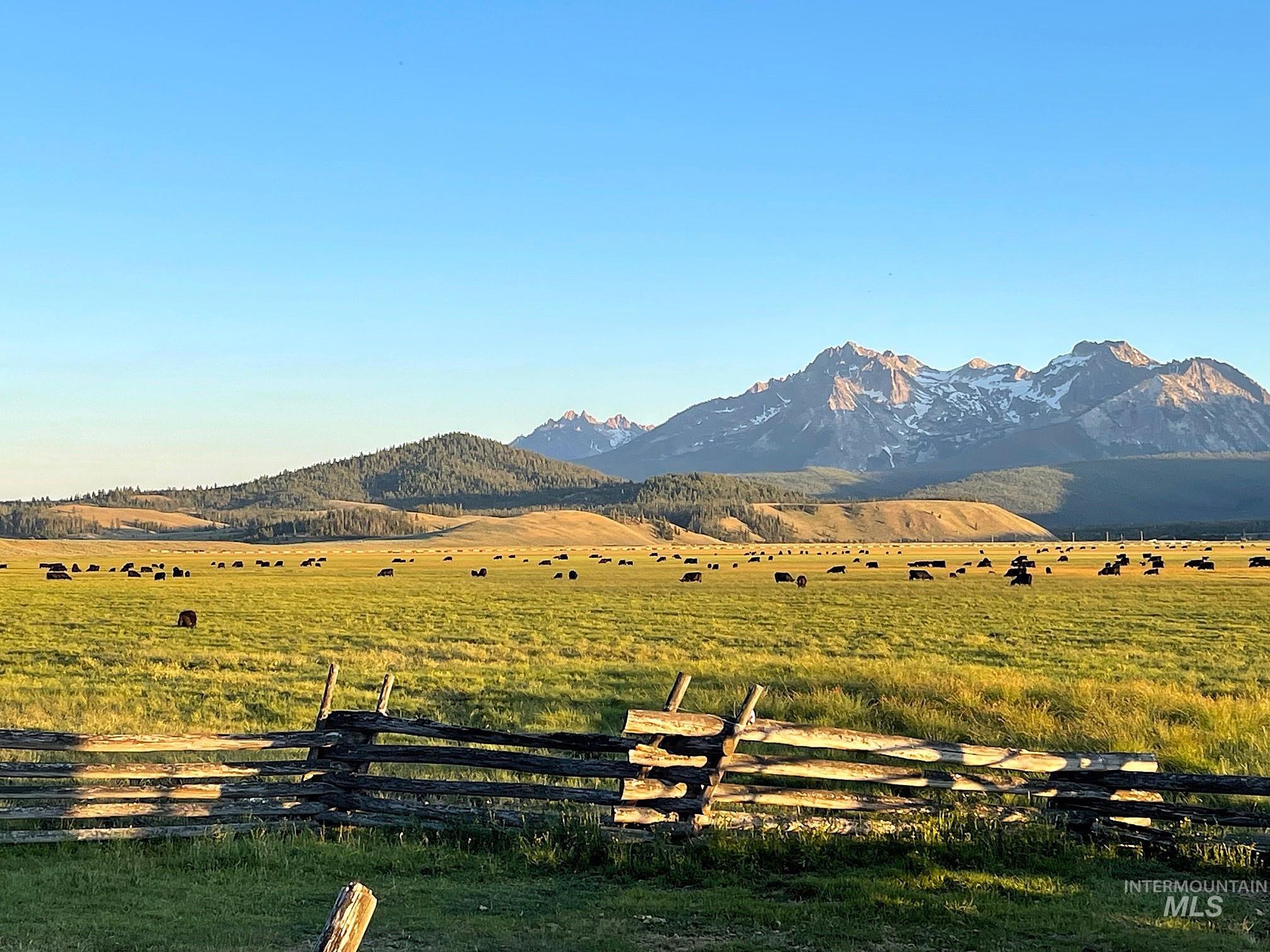 TBD Hwy 21, Stanley, Idaho 83278, Land For Sale, Price $2,500,000, 98917268