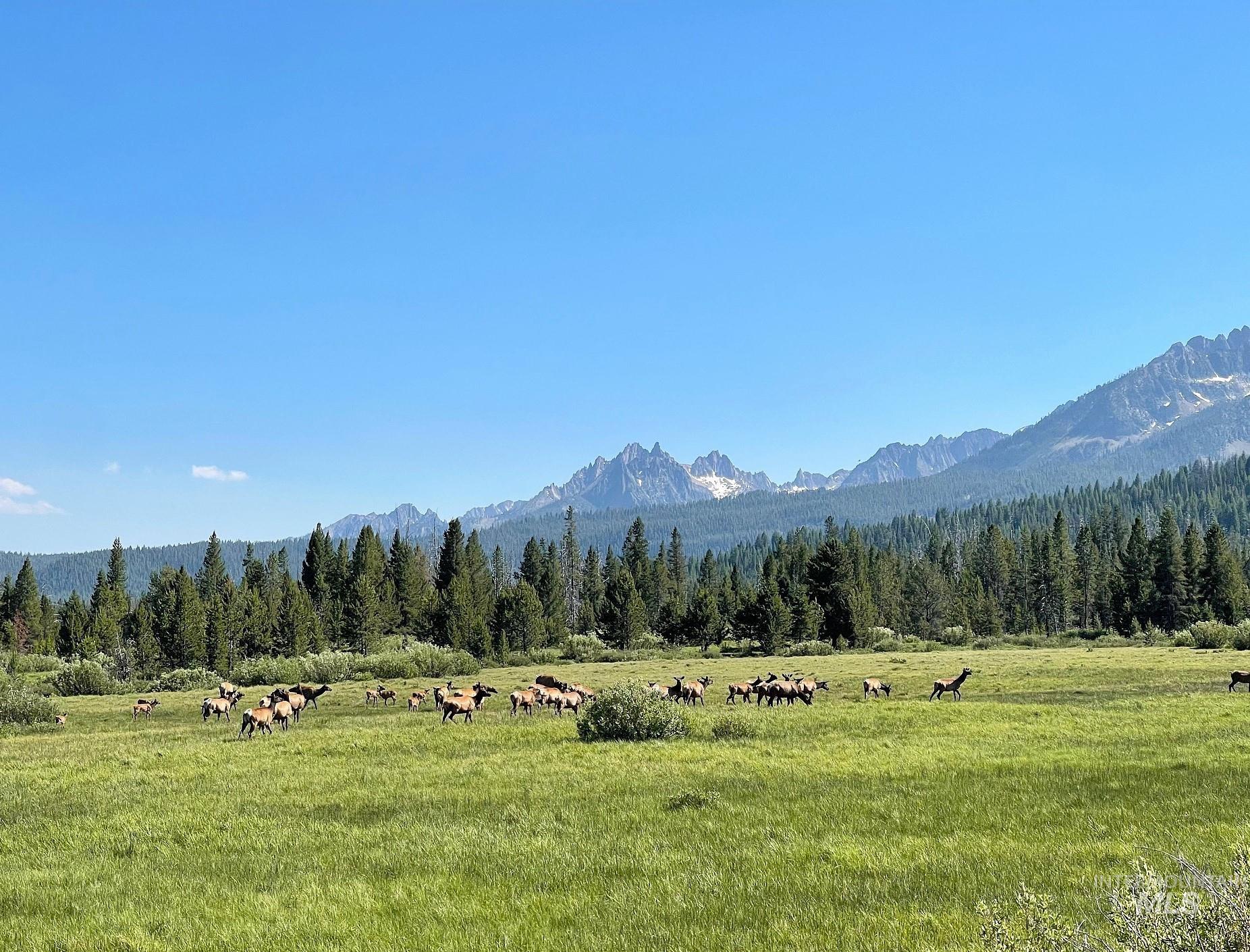 TBD Hwy 21, Stanley, Idaho 83278, Land For Sale, Price $2,500,000, 98917268