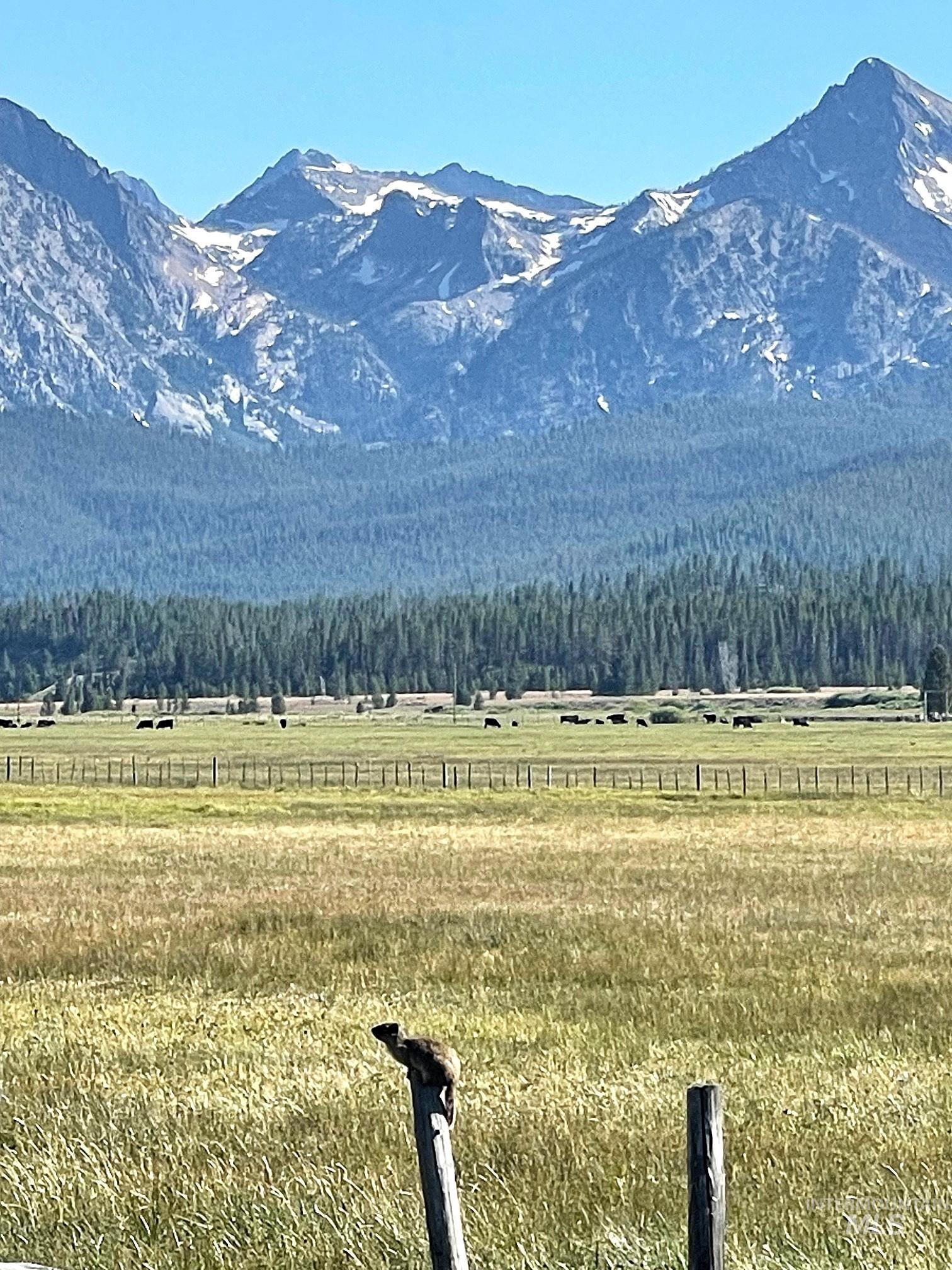 TBD Hwy 21, Stanley, Idaho 83278, Land For Sale, Price $2,500,000, 98917268