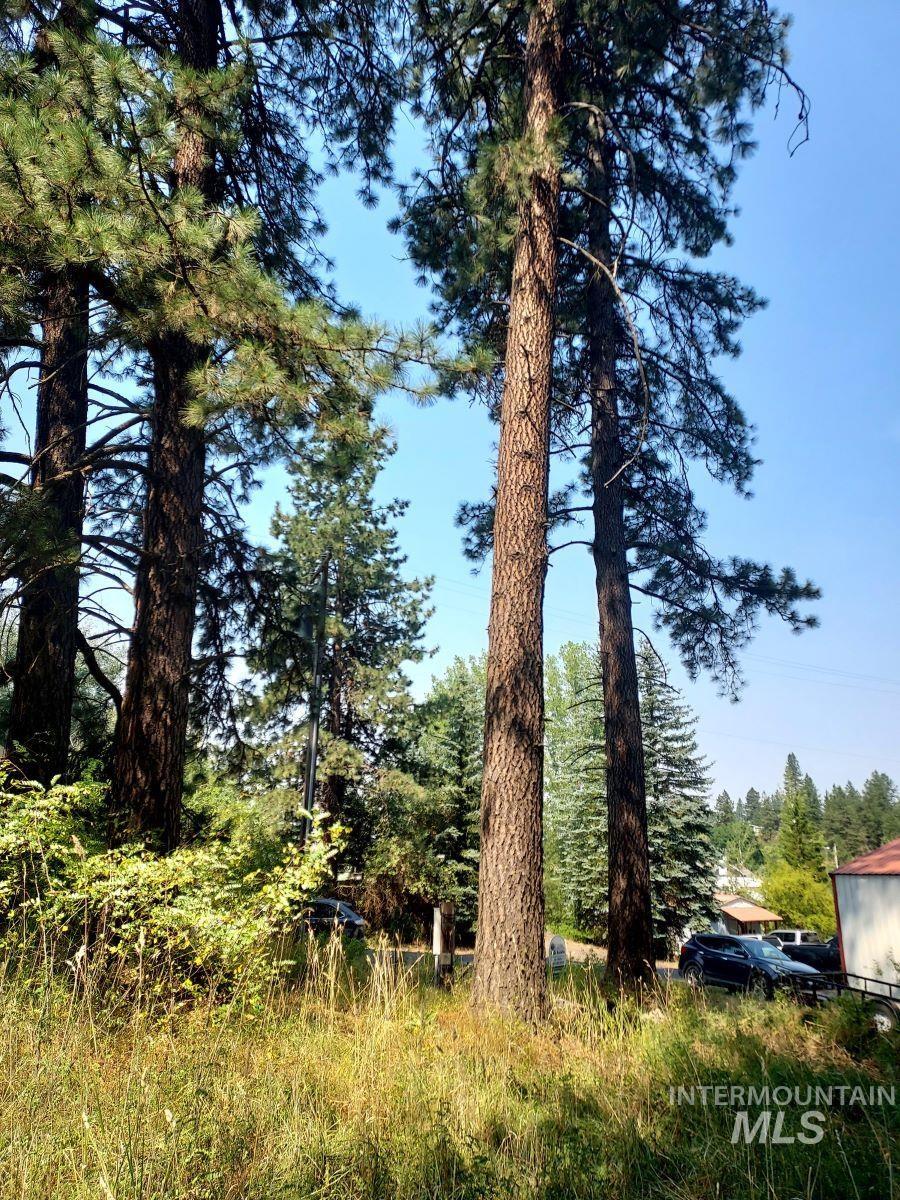 TBD Main, Deary, Idaho 83823, Land For Sale, Price $49,000, 98917387