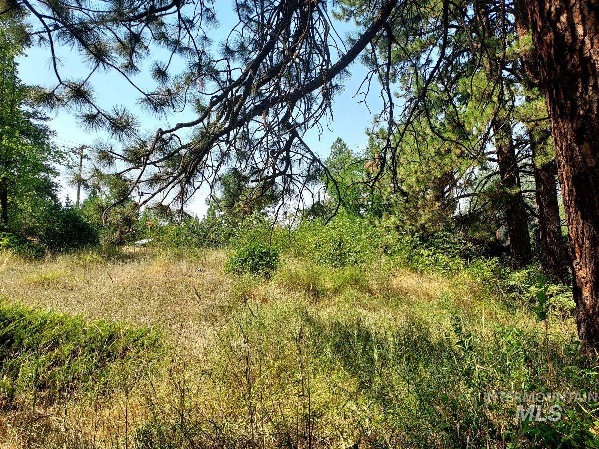 TBD Main, Deary, Idaho 83823, Land For Sale, Price $49,000, 98917387