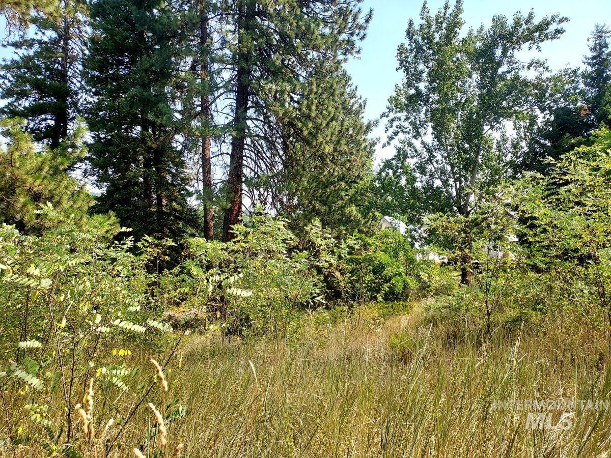 TBD Main, Deary, Idaho 83823, Land For Sale, Price $49,000, 98917387