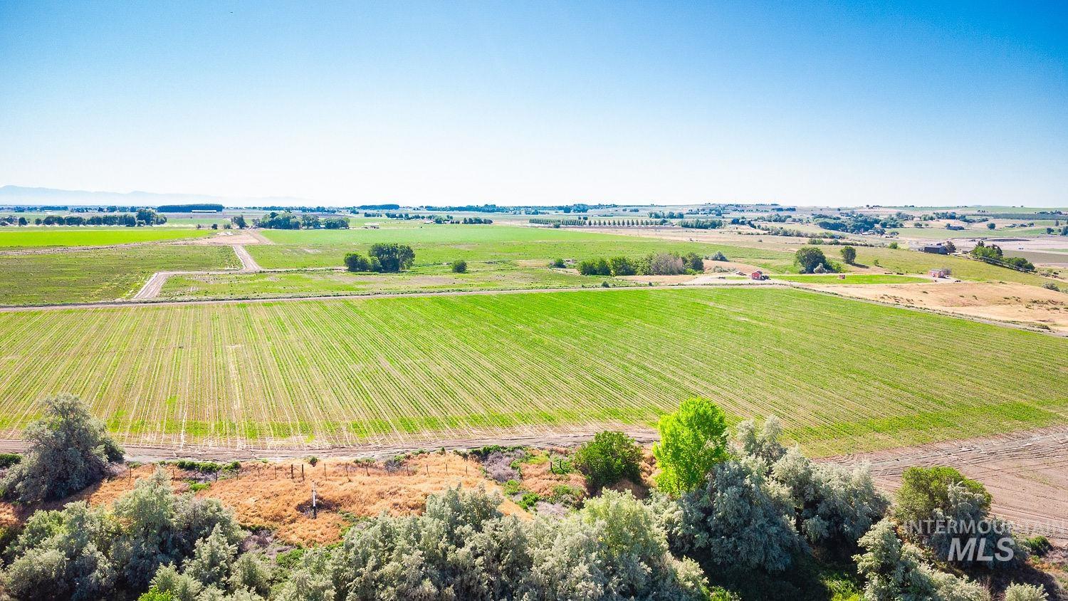 TBD Lower Pleasant Ridge Rd, Wilder, Idaho 83676, Land For Sale, Price $2,281,955,MLS 98917727