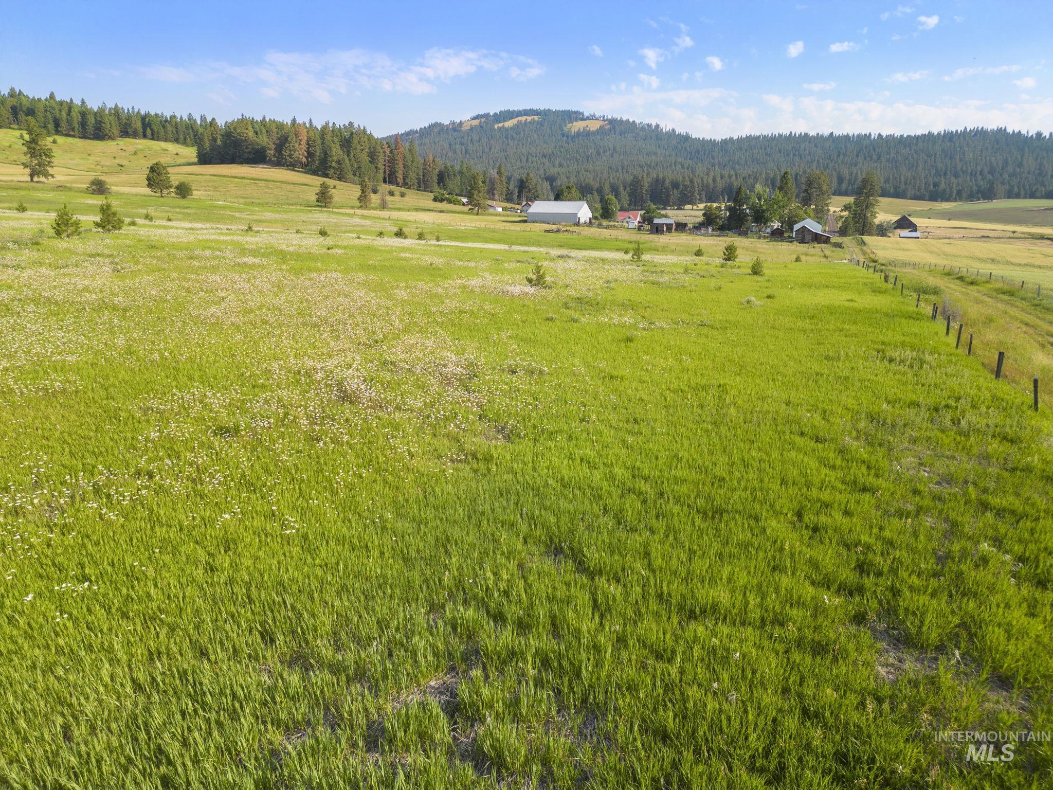 TBD Keuterville Rd N, CottonWood, Idaho 83522, Land For Sale, Price $115,000,MLS 98917730