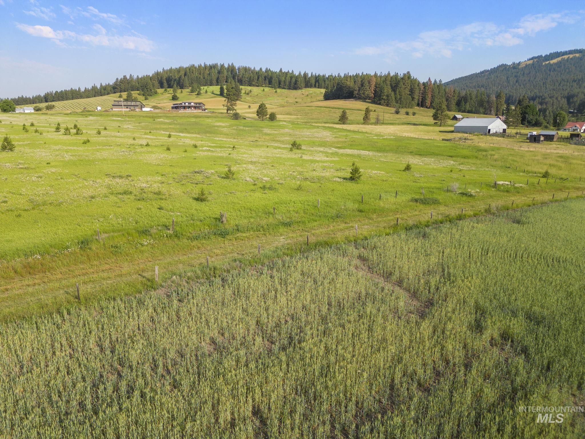 TBD Keuterville Rd N, CottonWood, Idaho 83522, Land For Sale, Price $115,000,MLS 98917730