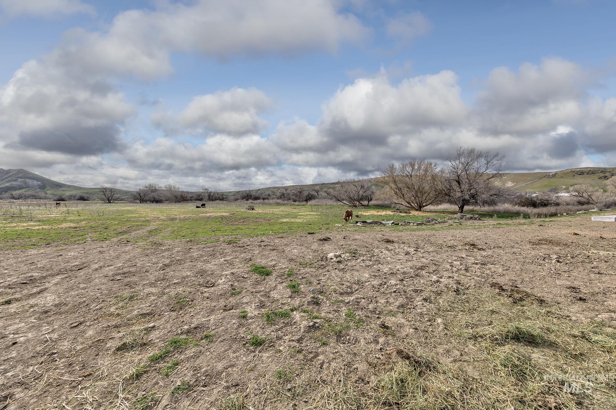 4063 Lincoln Dr, Ontario, Oregon 97914, 3 Bedrooms, 2 Bathrooms, Farm & Ranch For Sale, Price $899,900,MLS 98917903