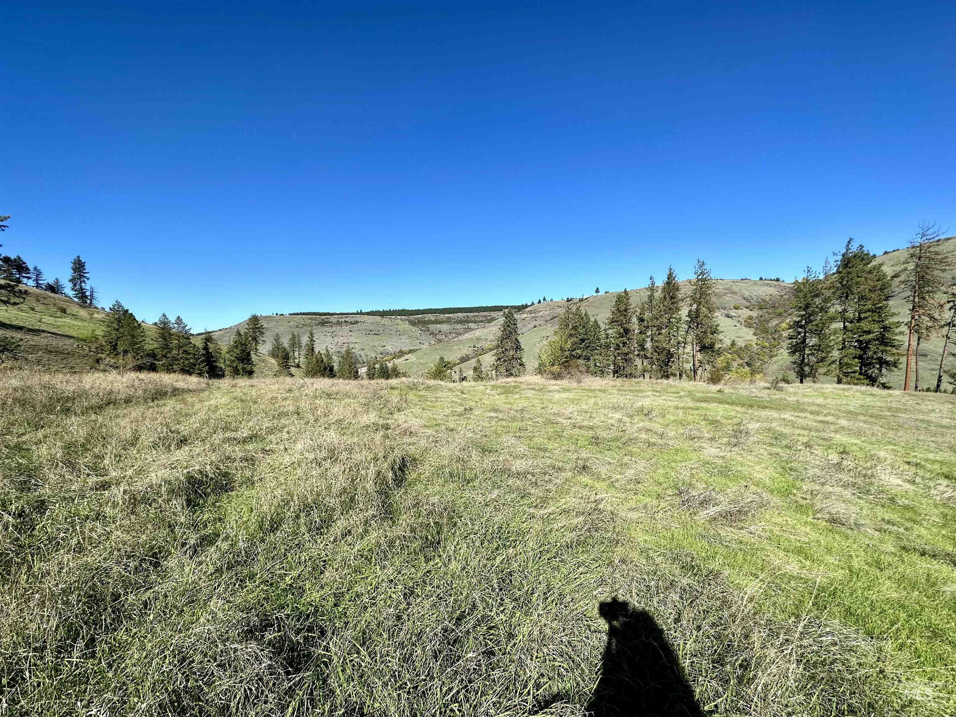 Lot 8 Blk B Elk Meadows Sub-Div, Kooskia, Idaho 83536, Land For Sale, Price $116,000,MLS 98917982